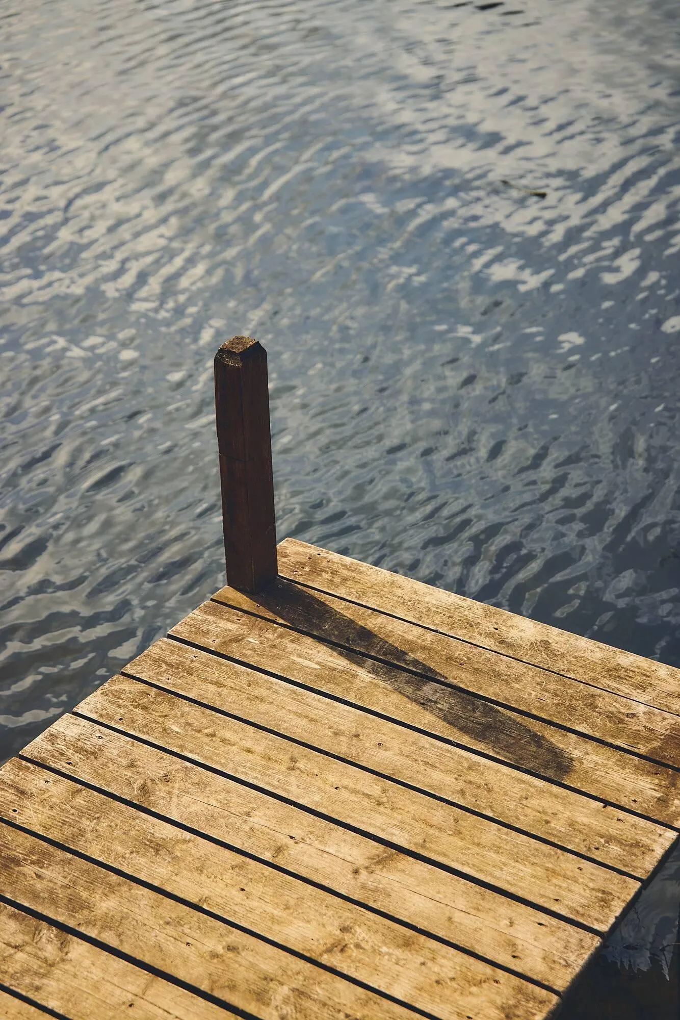 Catálogo de Folleto Longchamp 11 de abril al 7 de junio 2025 - Página 3