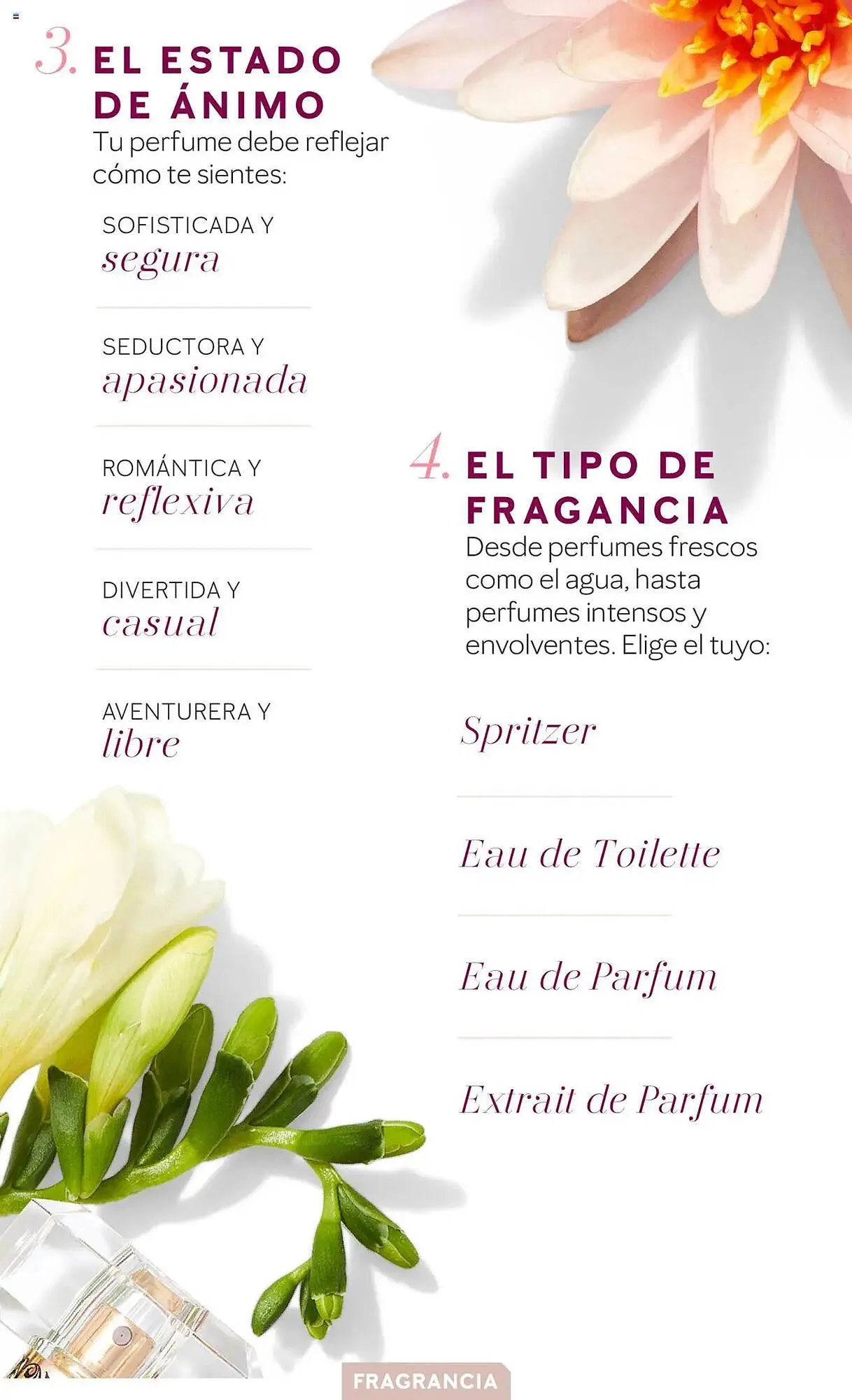 Catálogo de Folleto Mary Kay 11 de febrero al 30 de junio 2025 - Página 5