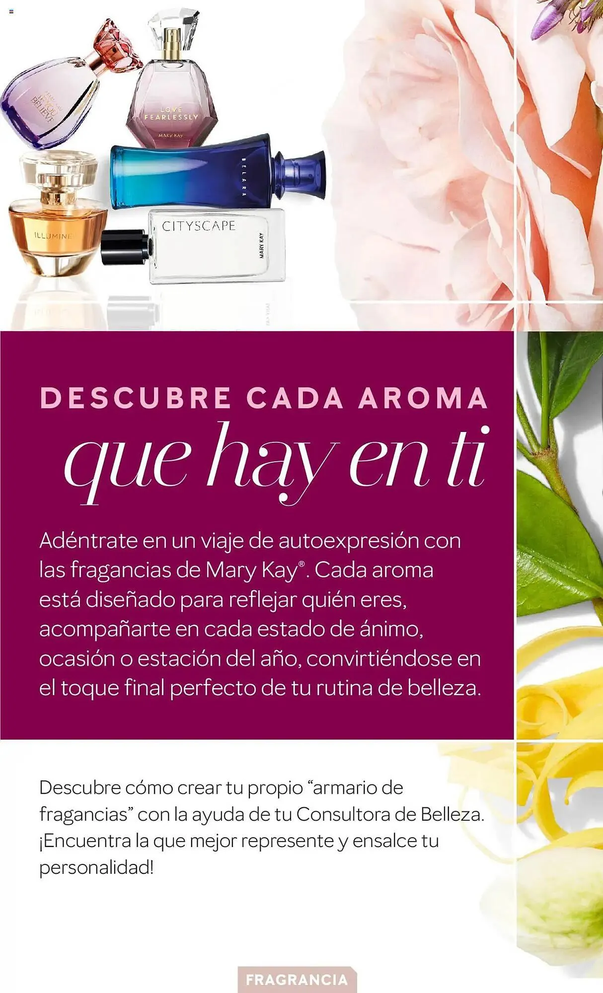 Catálogo de Folleto Mary Kay 11 de febrero al 30 de junio 2025 - Página 2