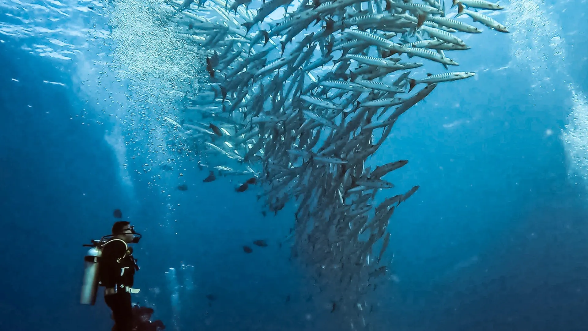 Protección y carcasa de buceo sumergible para cámara