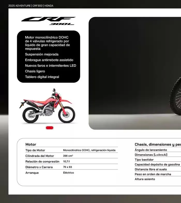 Catálogo de Gama Adventure 2025 14 de mayo al 31 de diciembre 2025 - Página 31