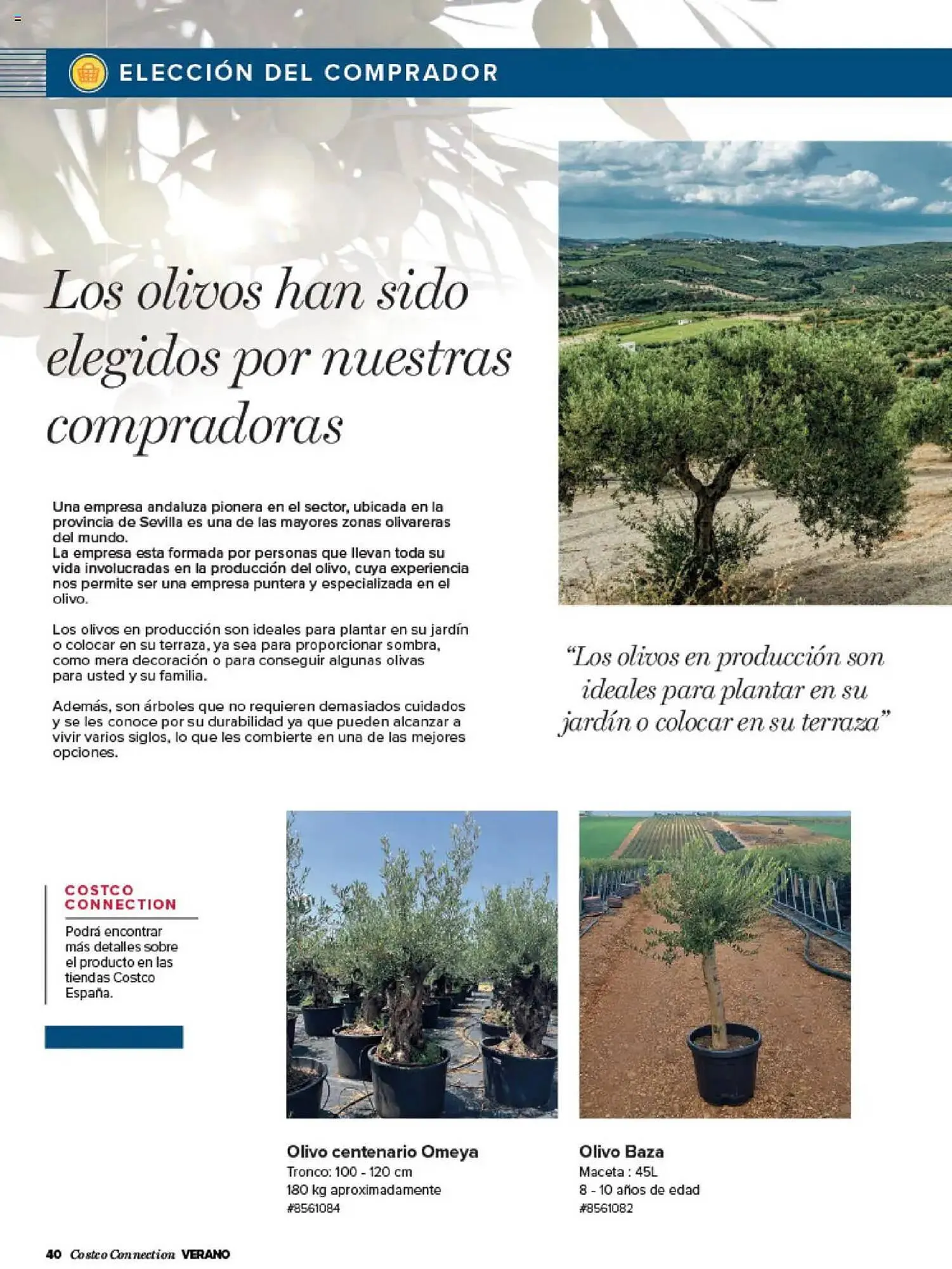 Catálogo de Folleto Costco 3 de julio al 31 de agosto 2025 - Página 40