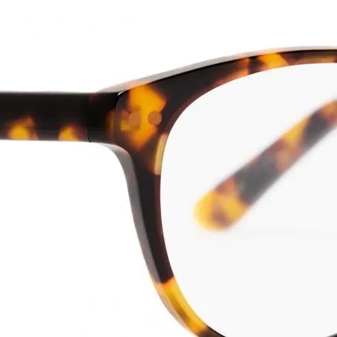 PACK Gafas graduadas Urban London C20 Havana oscuro