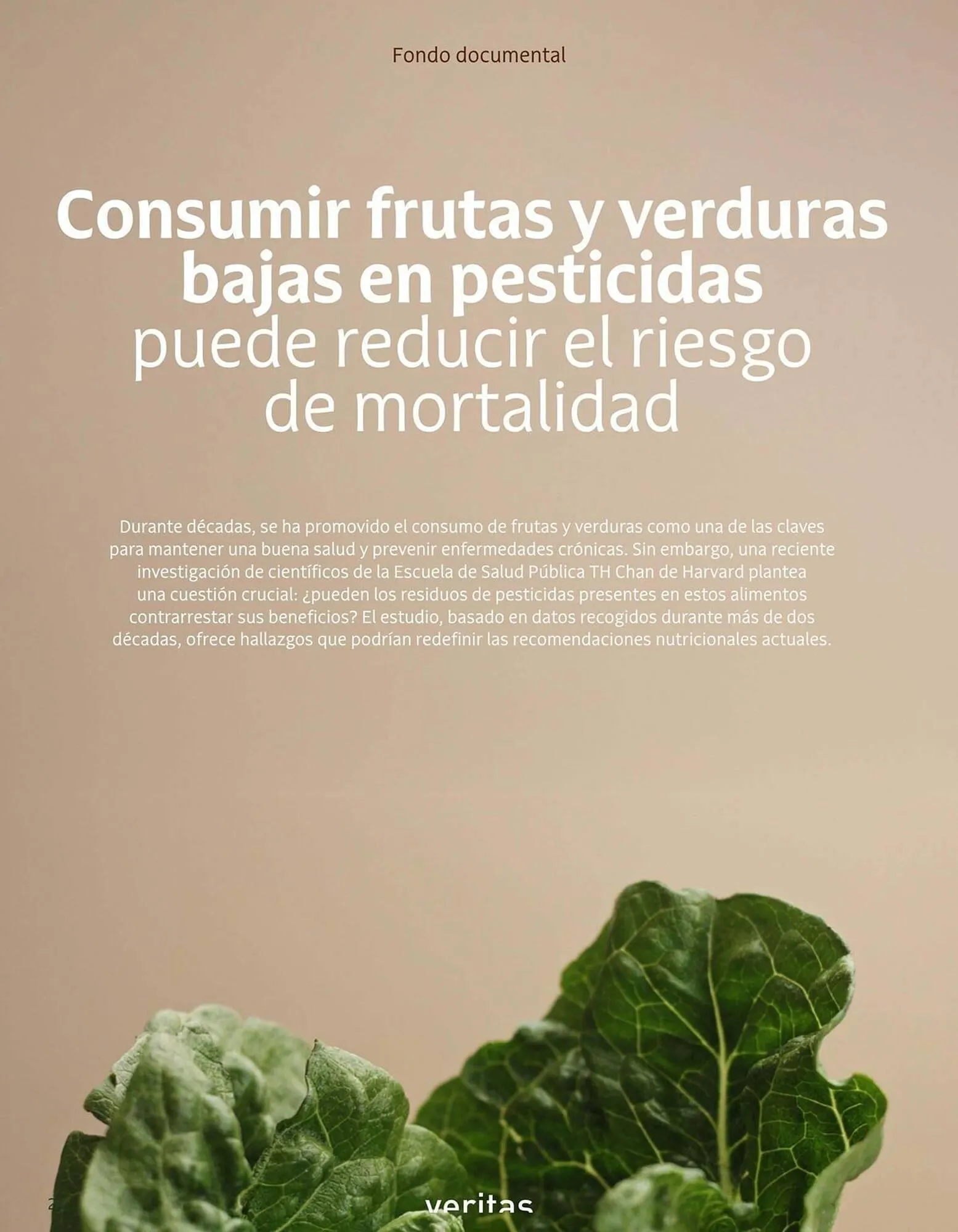 Catálogo de Catálogo Veritas 1 de octubre al 31 de octubre 2025 - Página 24