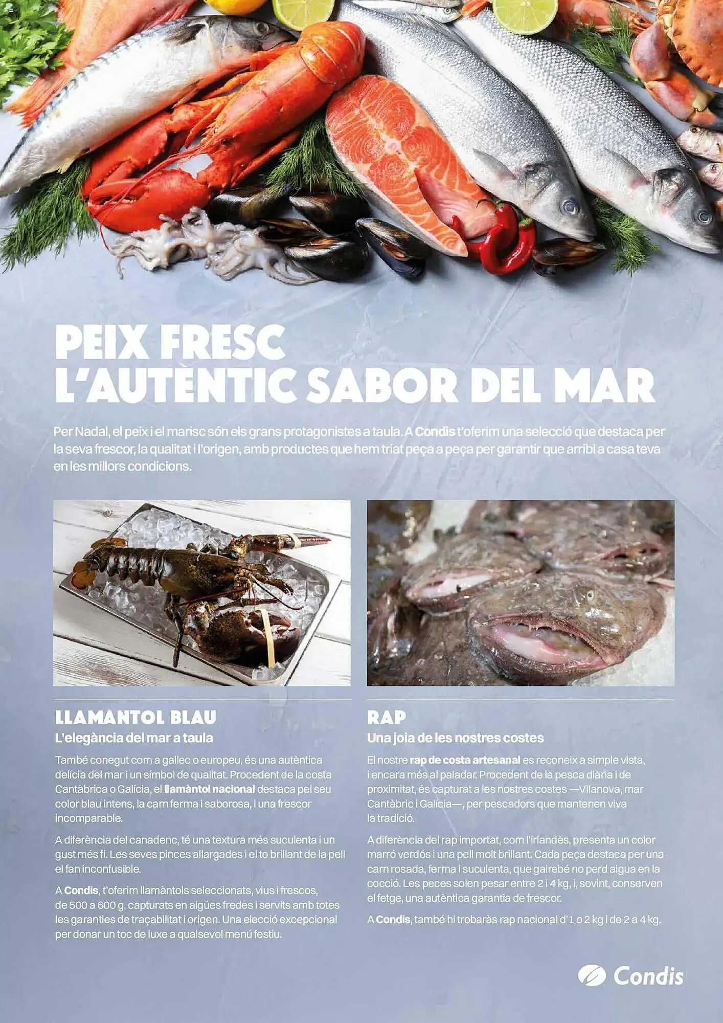 Catálogo de Catálogo Condis 3 de diciembre al 6 de enero 2026 - Página 19
