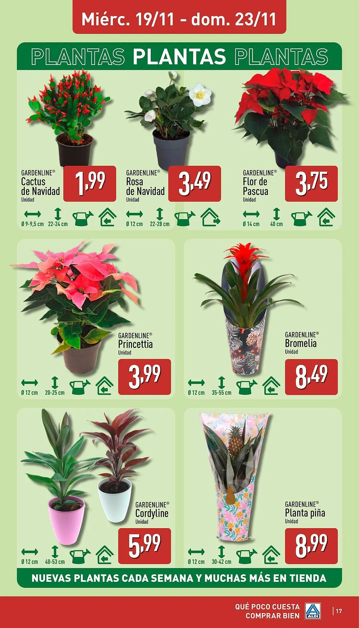 Catálogo de Folleto ALDI 17 de noviembre al 23 de noviembre 2025 - Página 17