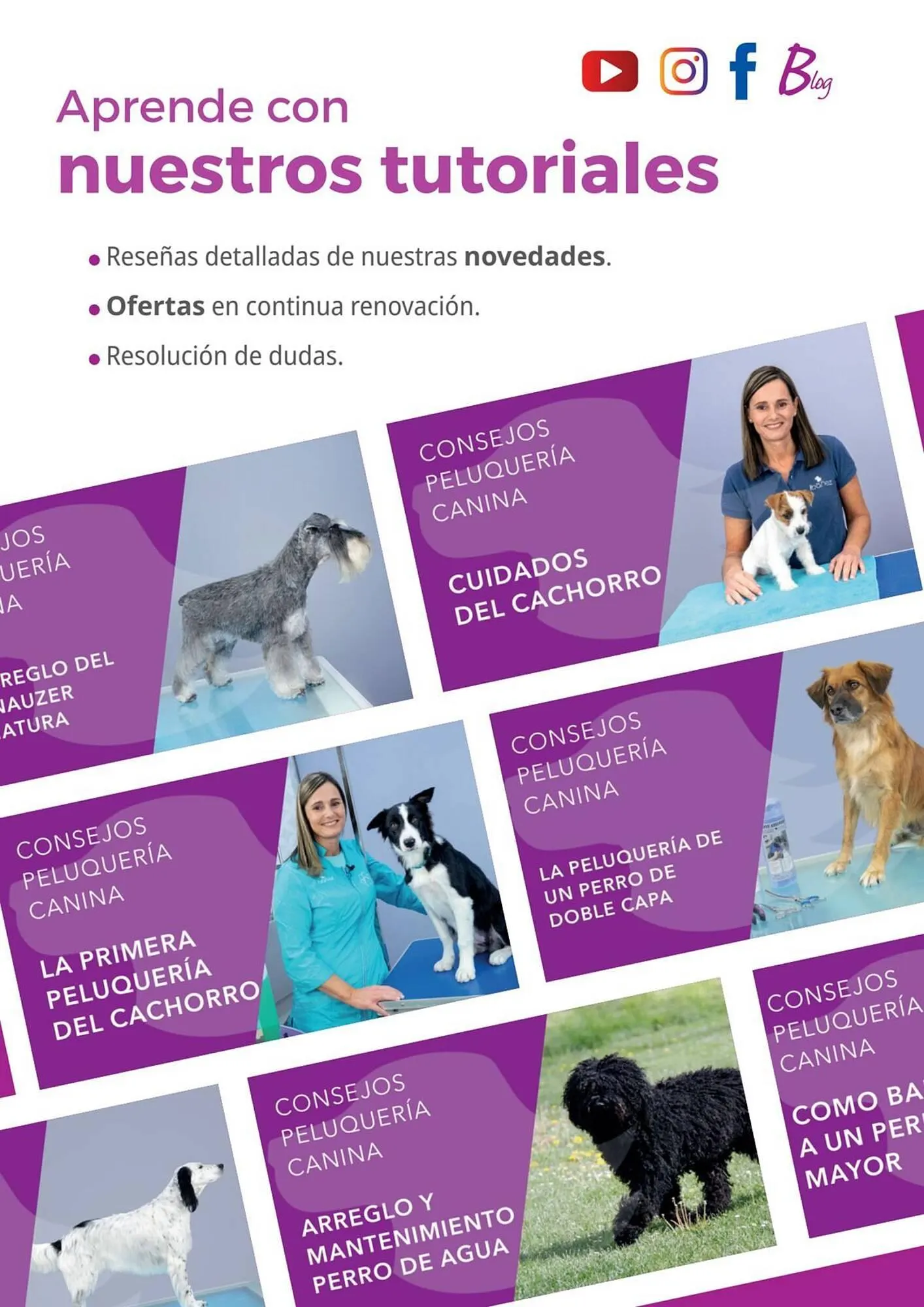 Catálogo de Folleto Setter Bakio 14 de junio al 14 de junio 2025 - Página 104