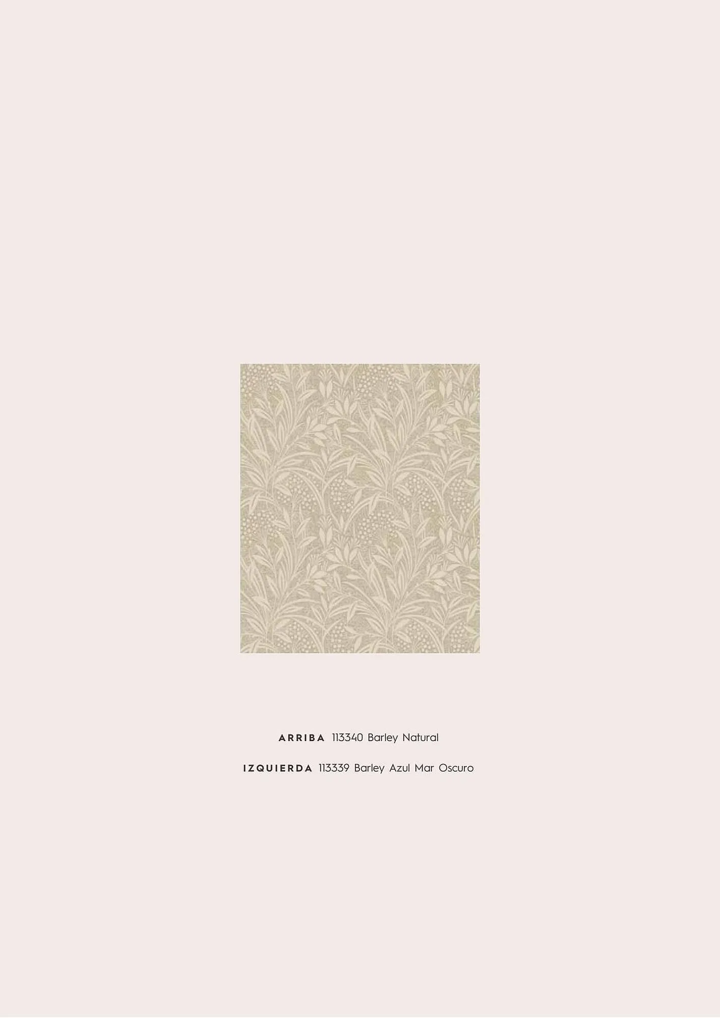 Catálogo de Folleto Laura Ashley 20 de julio al 31 de julio 2023 - Página 55