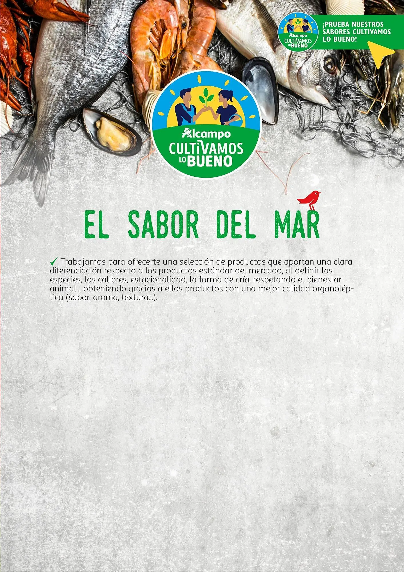 Catálogo de Folleto Alcampo 23 de abril al 31 de diciembre 2025 - Página 45