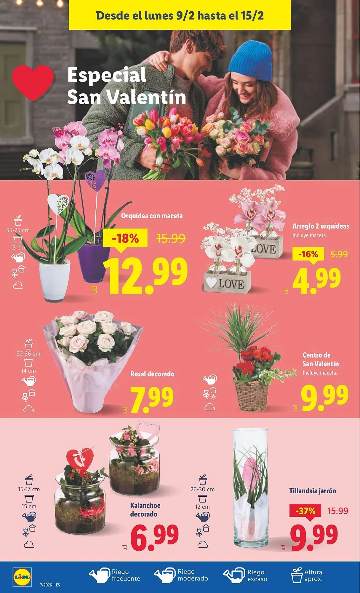 Catálogo de Catálogo Lidl 9 de febrero al 15 de febrero 2026 - Página 38