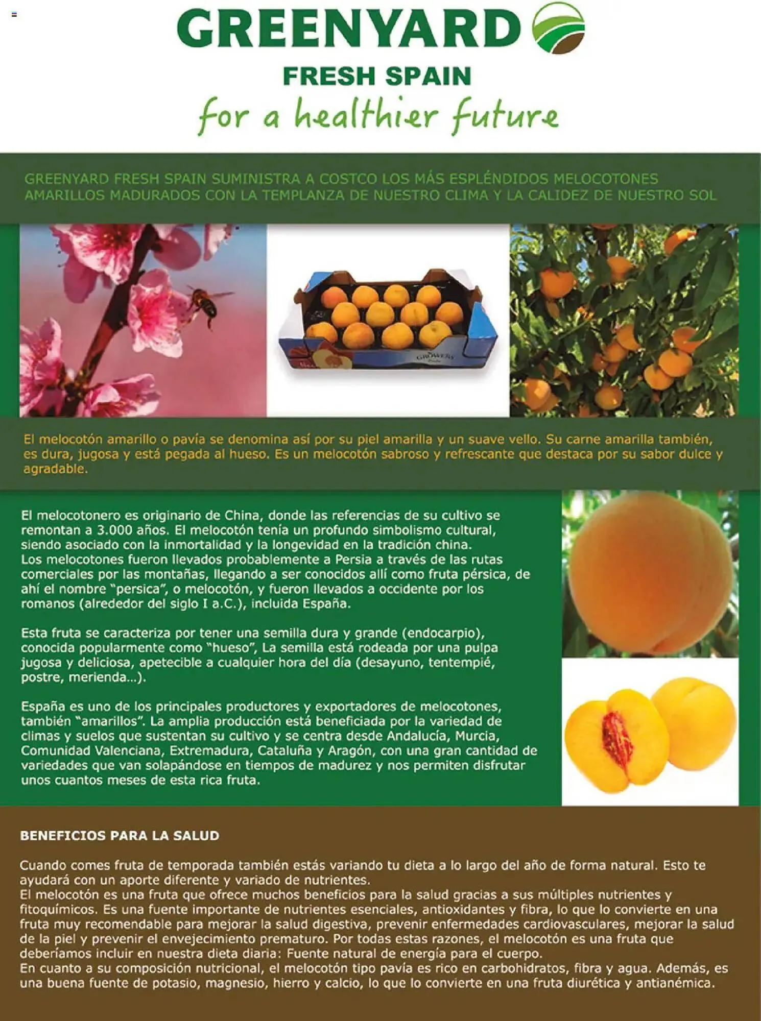 Catálogo de Folleto Costco 3 de julio al 31 de agosto 2025 - Página 114