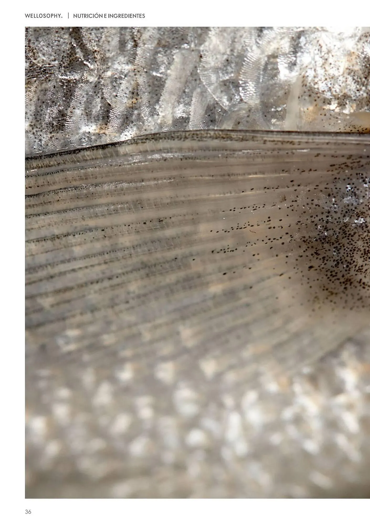 Catálogo de Catálogo Oriflame 19 de enero al 19 de febrero 2026 - Página 36