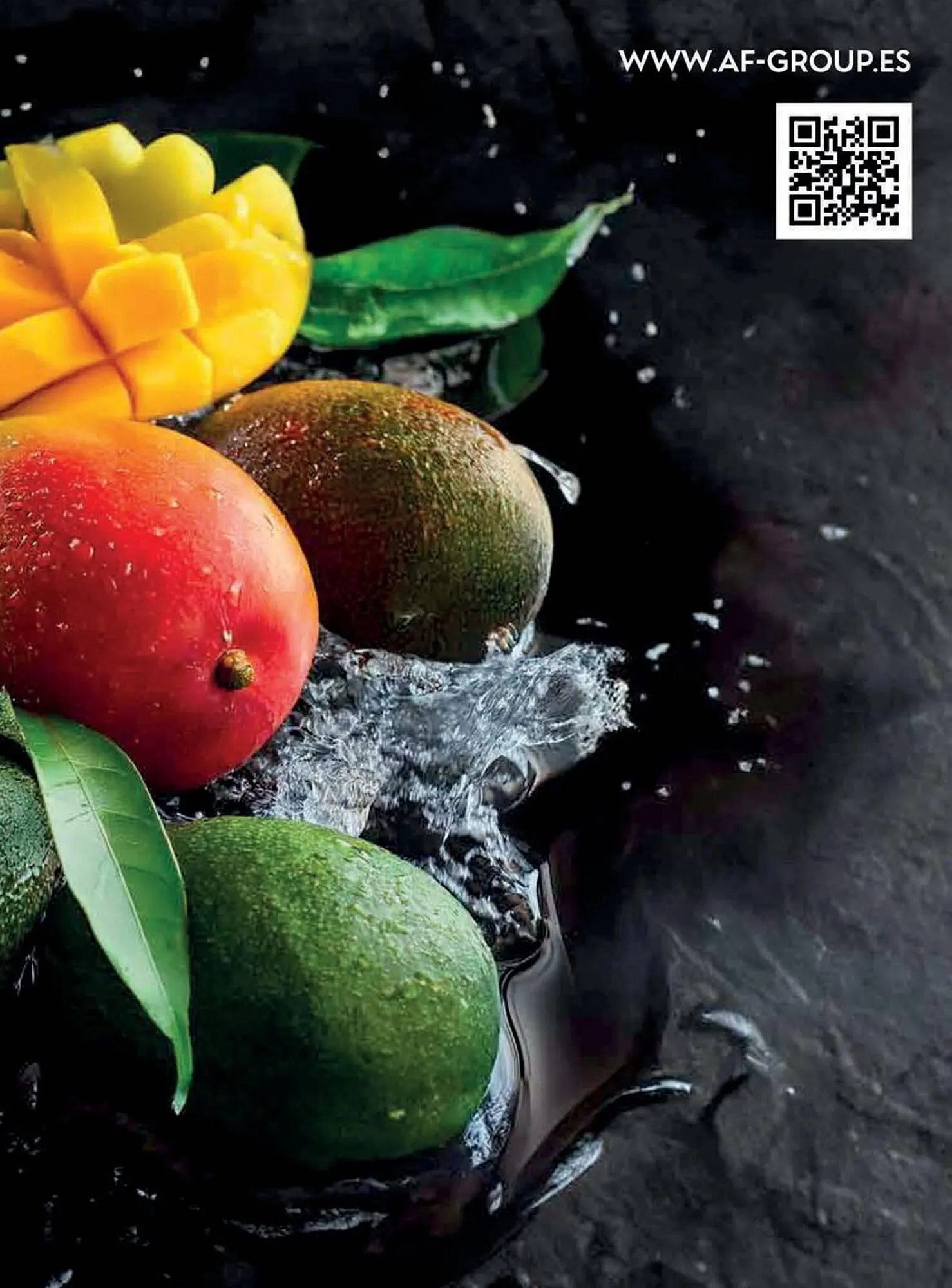 Catálogo de Catálogo Costco 6 de enero al 31 de marzo 2026 - Página 135