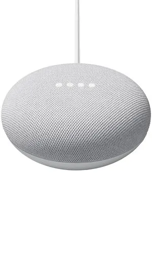 Google Nest Mini