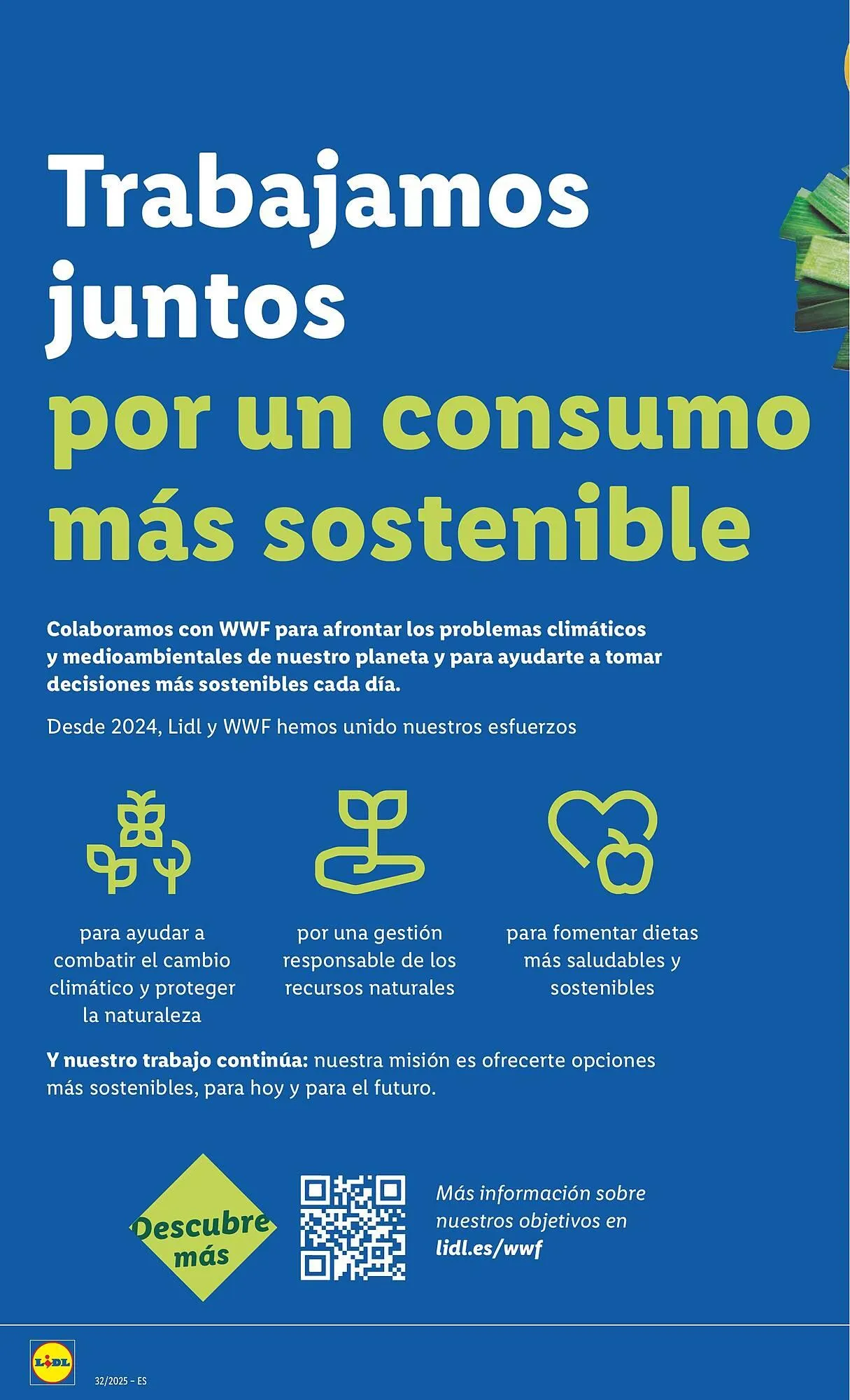 Catálogo de Folleto Lidl 4 de agosto al 10 de agosto 2025 - Página 62