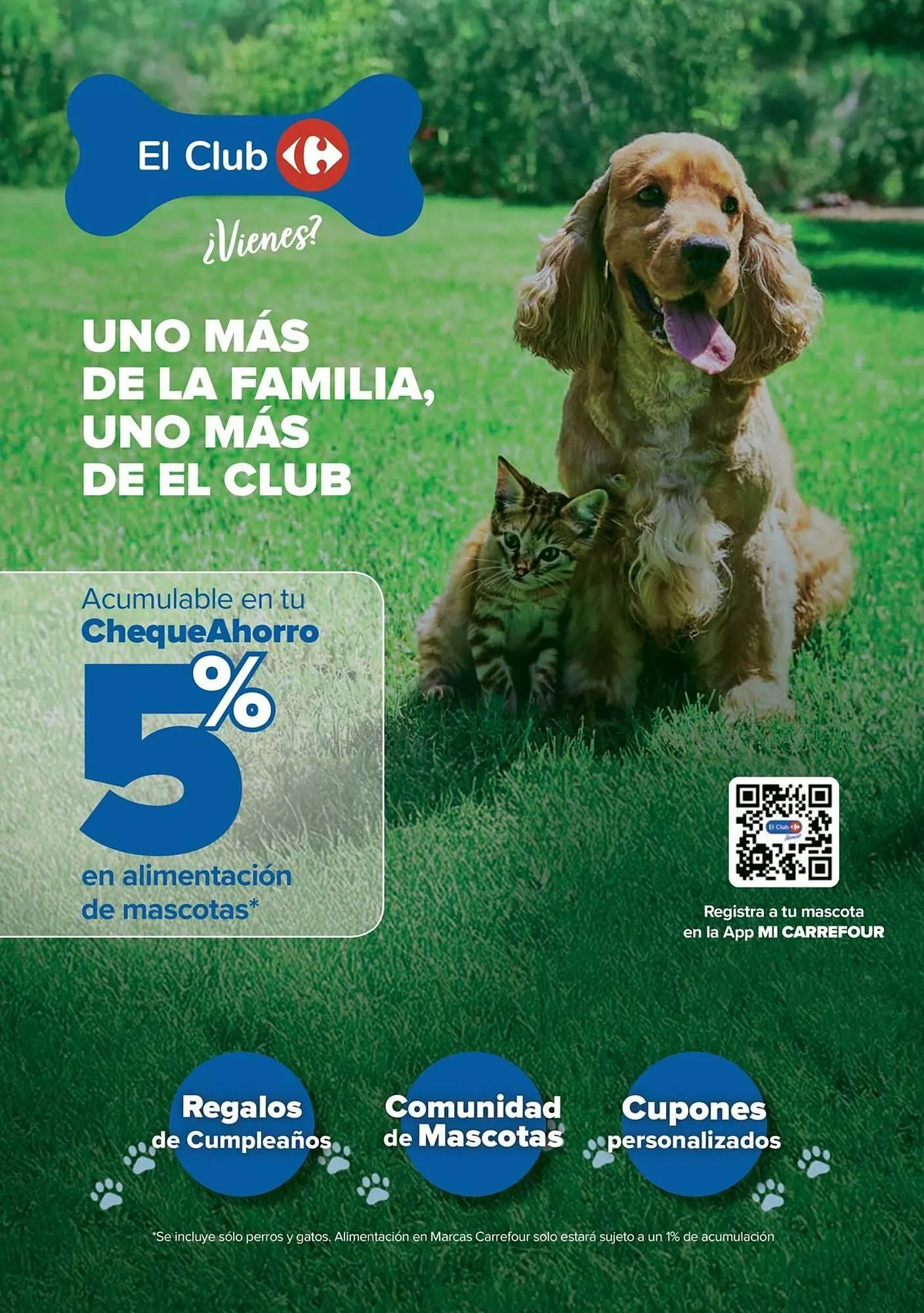 Catálogo de Folleto Carrefour 27 de junio al 10 de julio 2025 - Página 22
