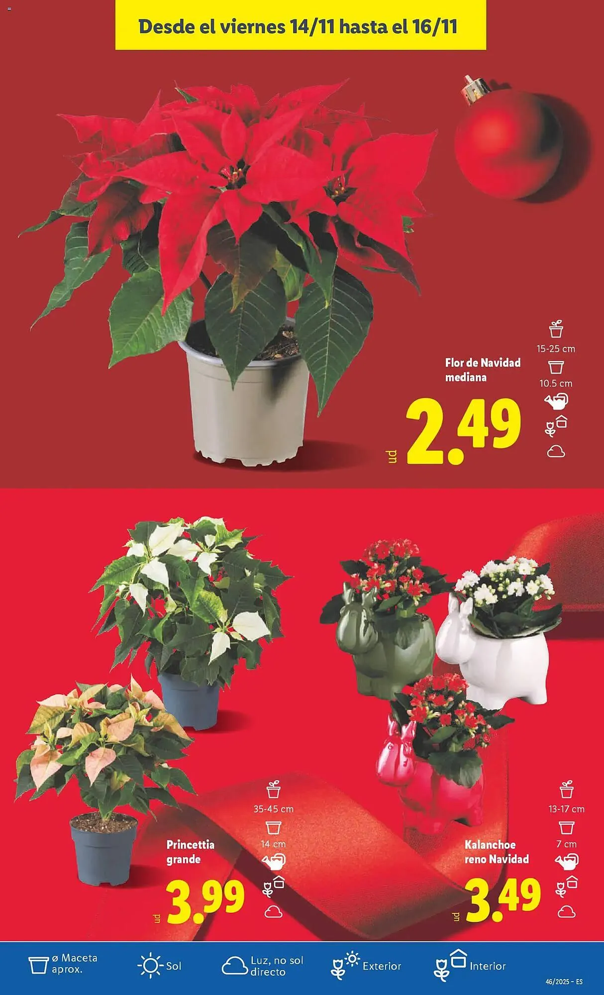 Catálogo de Catálogo Lidl 10 de noviembre al 16 de noviembre 2025 - Página 47