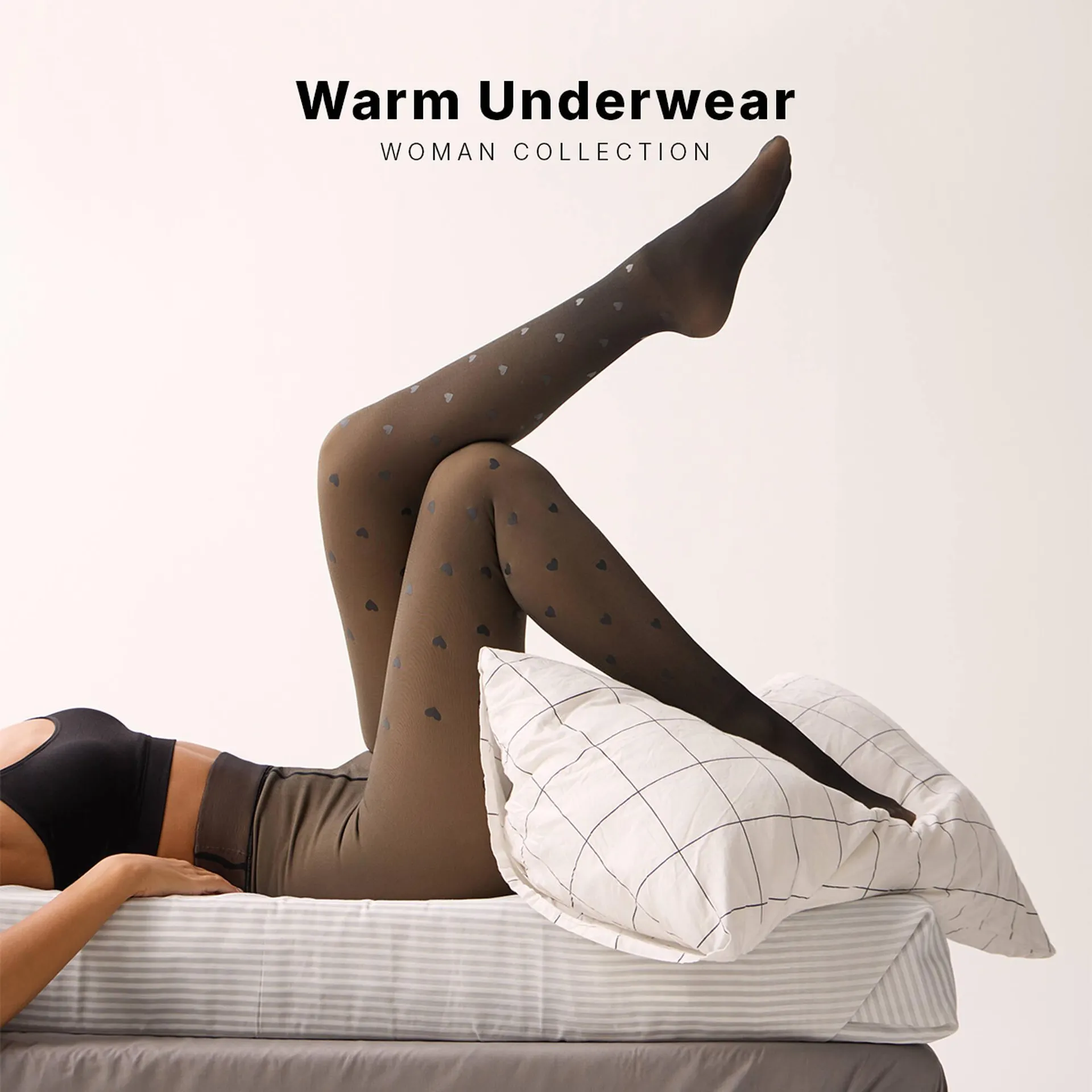 Folleto Terranova - 1