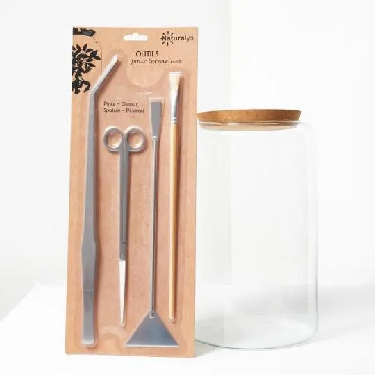 LOTE TERRARIO + HERRAMIENTA + SUSTRATO + 3 PLANTAS