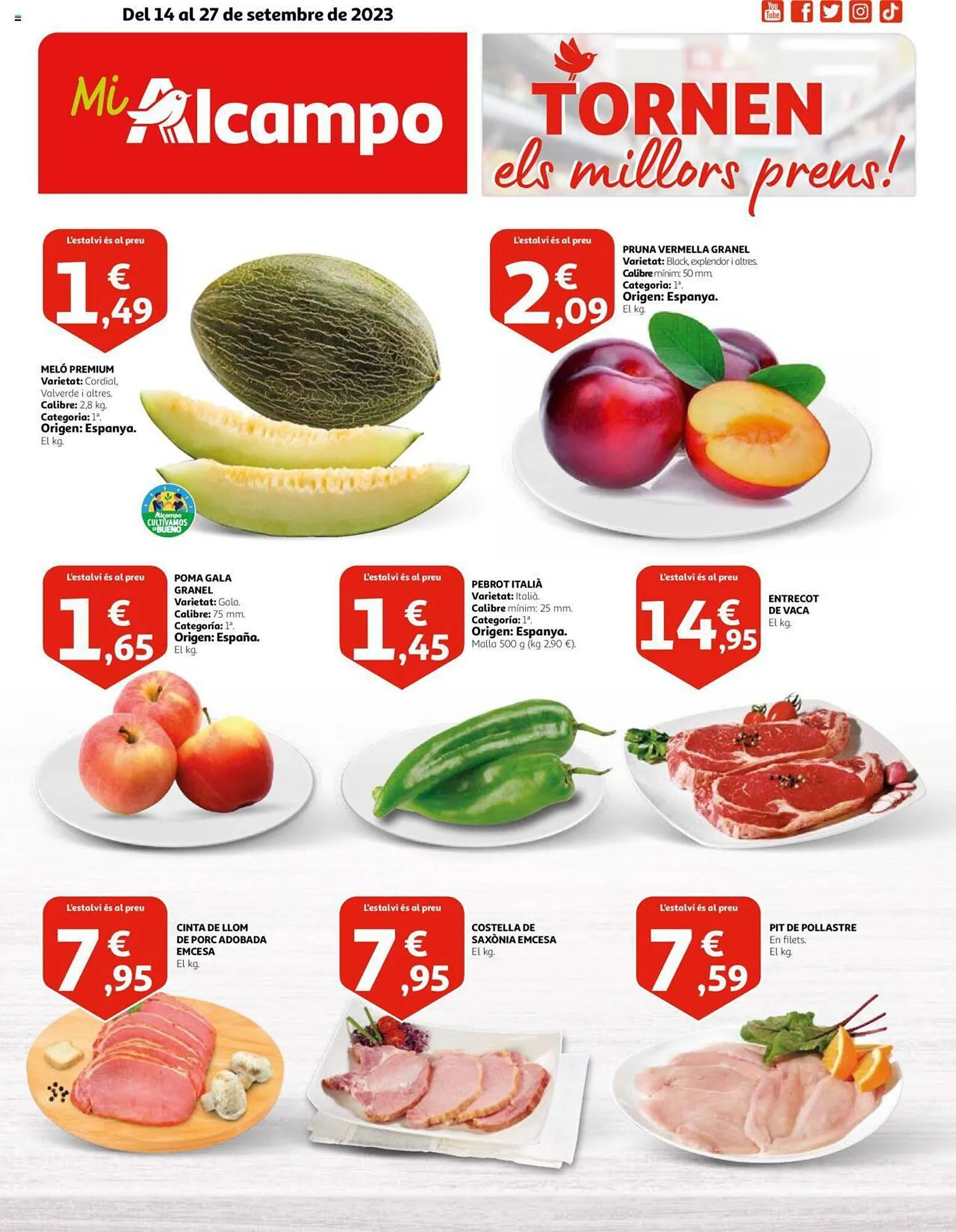 Catálogo de Folleto Alcampo 14 de septiembre al 27 de septiembre 2023 - Página 1