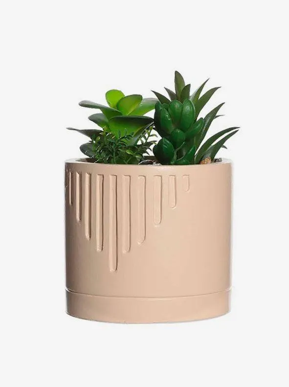 Planta artificial y maceta de cemento