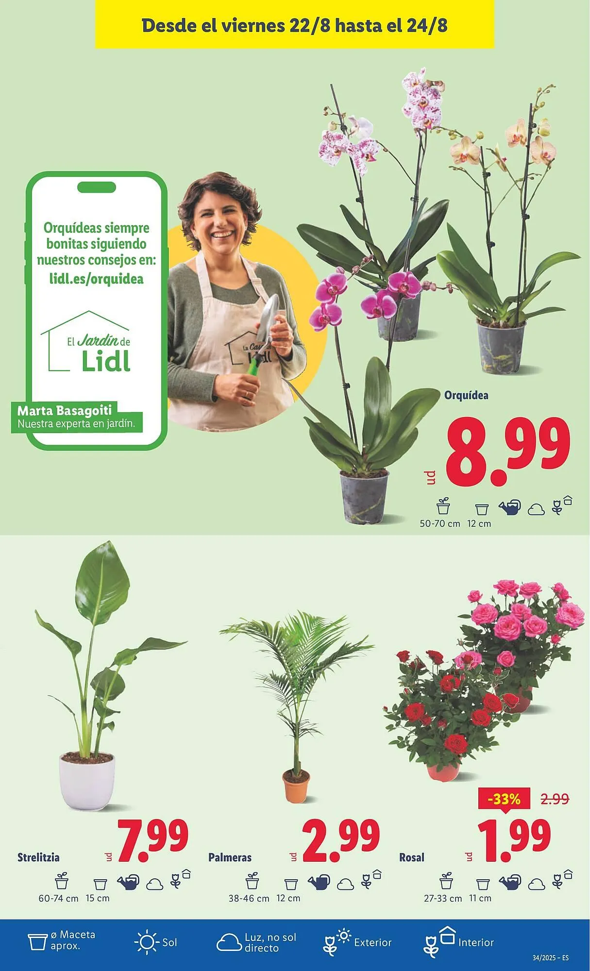 Catálogo de Folleto Lidl 18 de agosto al 24 de agosto 2025 - Página 43