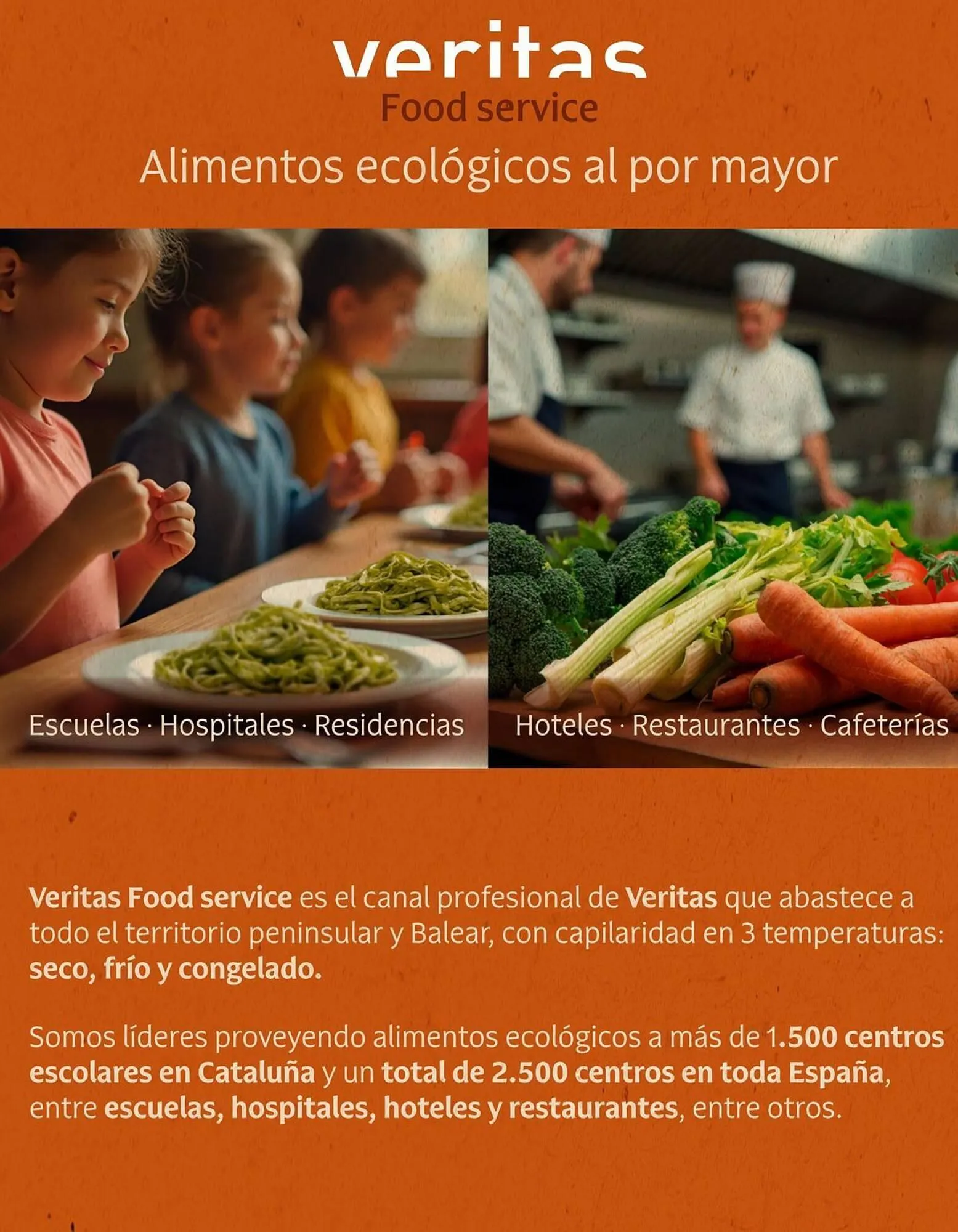 Catálogo de Folleto Veritas 1 de julio al 31 de agosto 2025 - Página 33