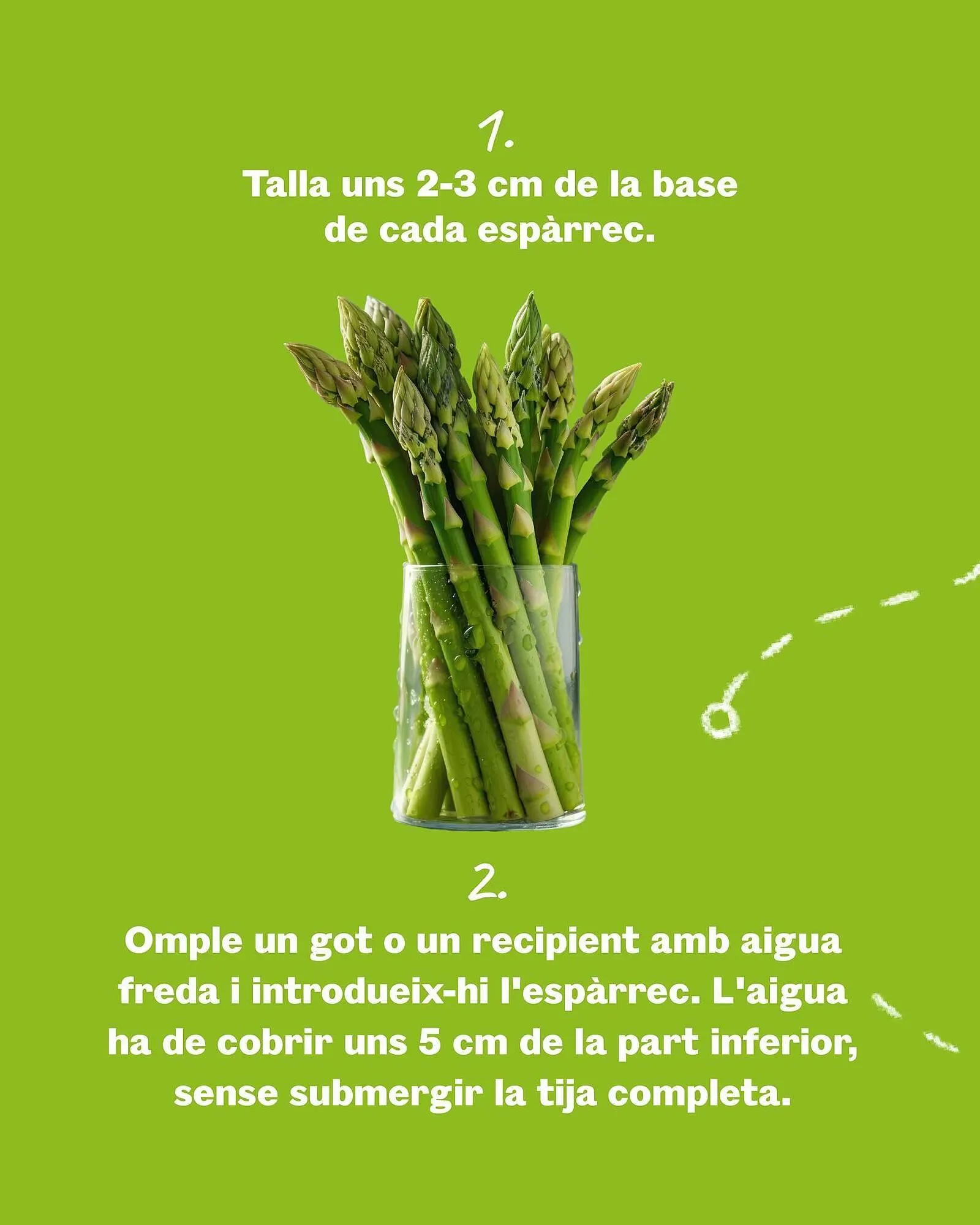 Catálogo de Folleto Sorli 7 de abril al 20 de abril 2025 - Página 2