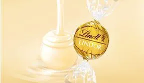 Bliss Box LINDOR Marrón 500g