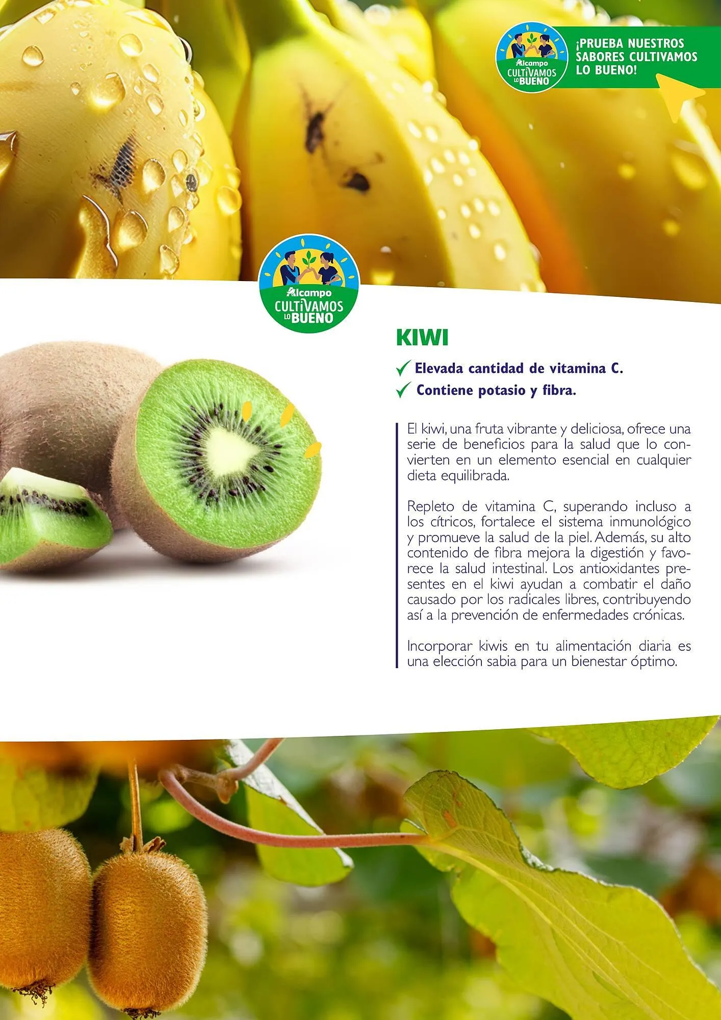 Catálogo de Folleto Alcampo 23 de abril al 31 de diciembre 2025 - Página 27