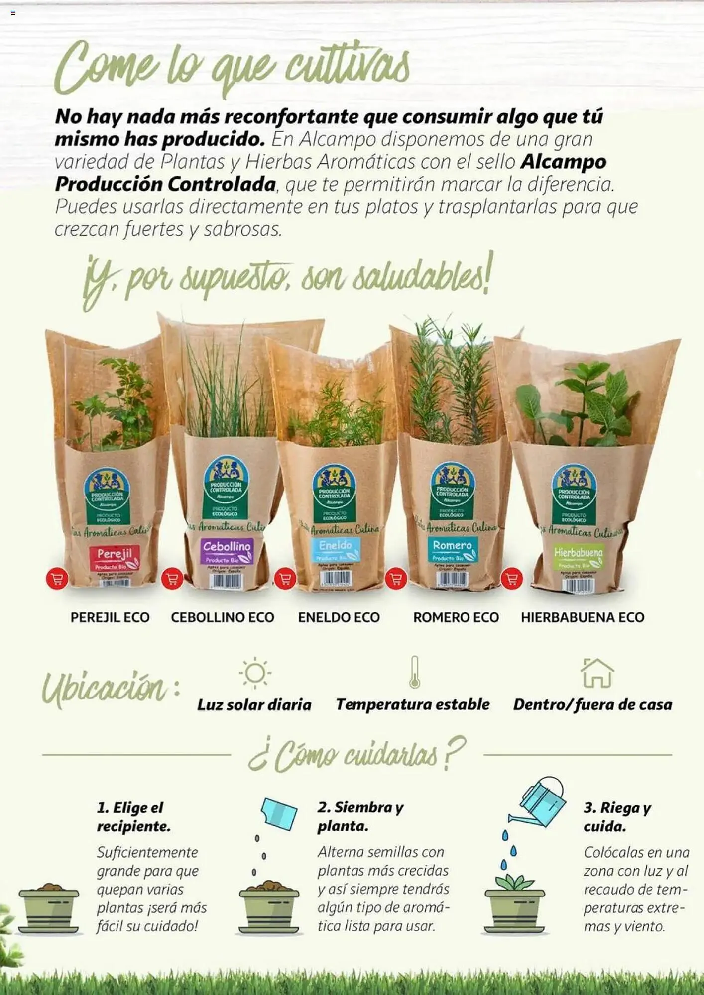 Catálogo de Folleto Alcampo 11 de febrero al 31 de diciembre 2025 - Página 14