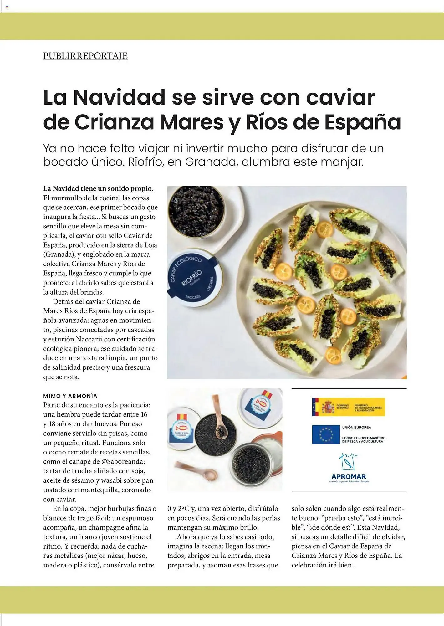 Catálogo de Catálogo El Corte Inglés 11 de diciembre al 31 de marzo 2026 - Página 13