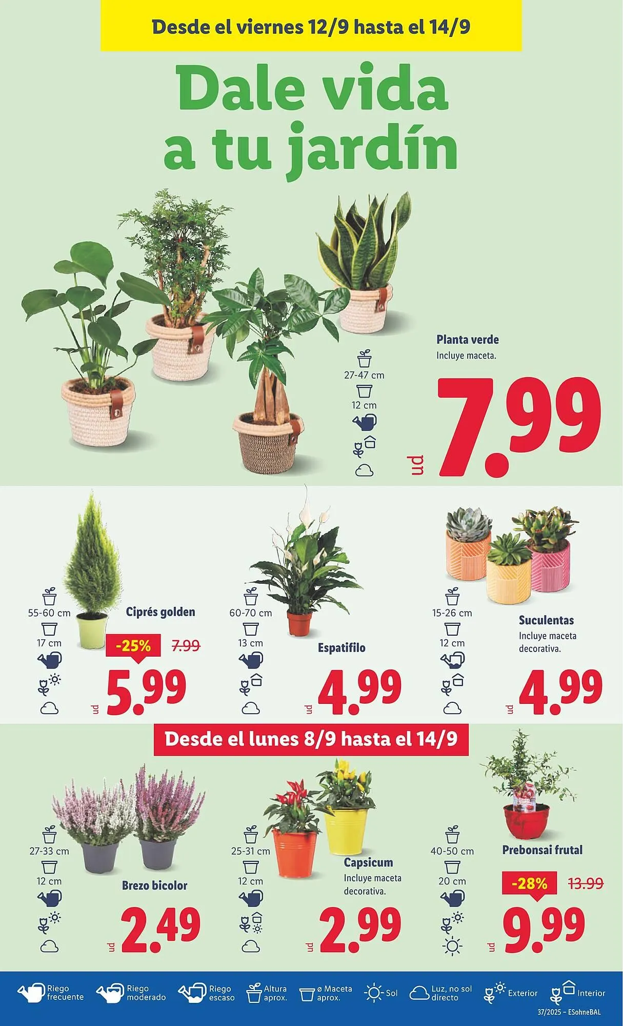 Catálogo de Folleto Lidl 8 de septiembre al 14 de septiembre 2025 - Página 35