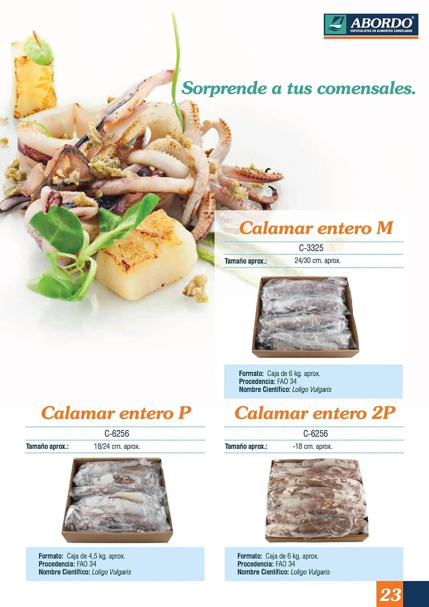 Catálogo de Folleto Abordo 5 de marzo al 30 de junio 2026 - Página 23