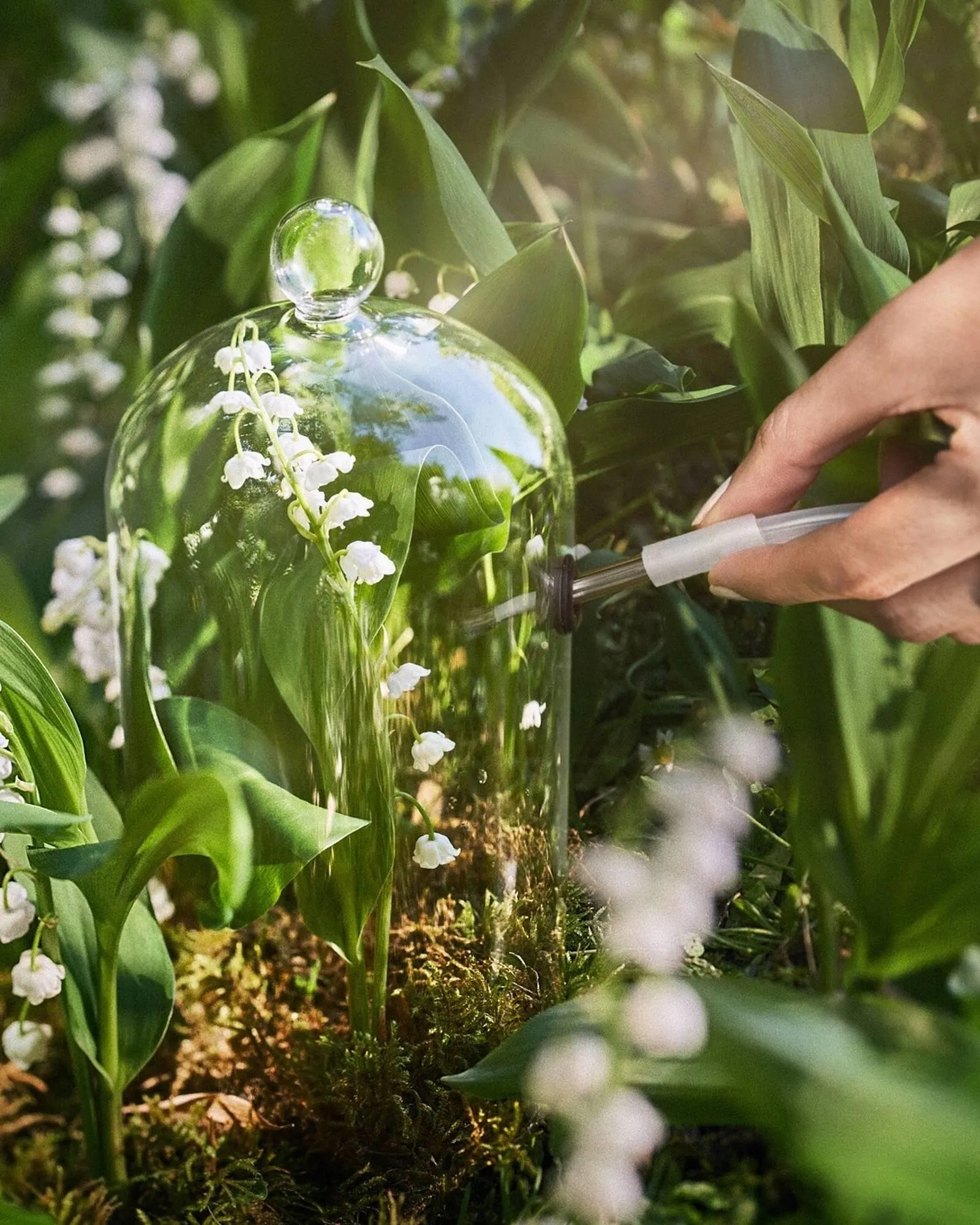 Catálogo de Folleto Dior 1 de mayo al 31 de mayo 2025 - Página 2