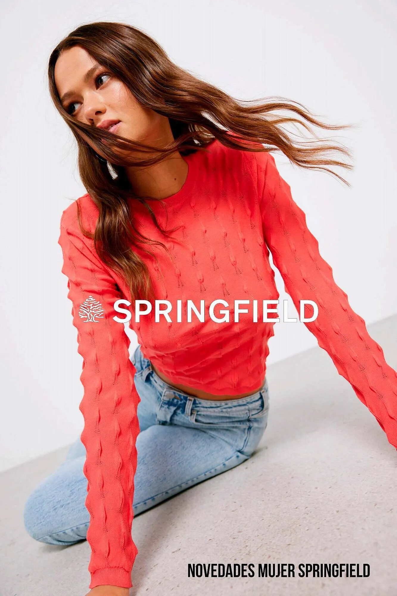 Folleto Springfield - 1