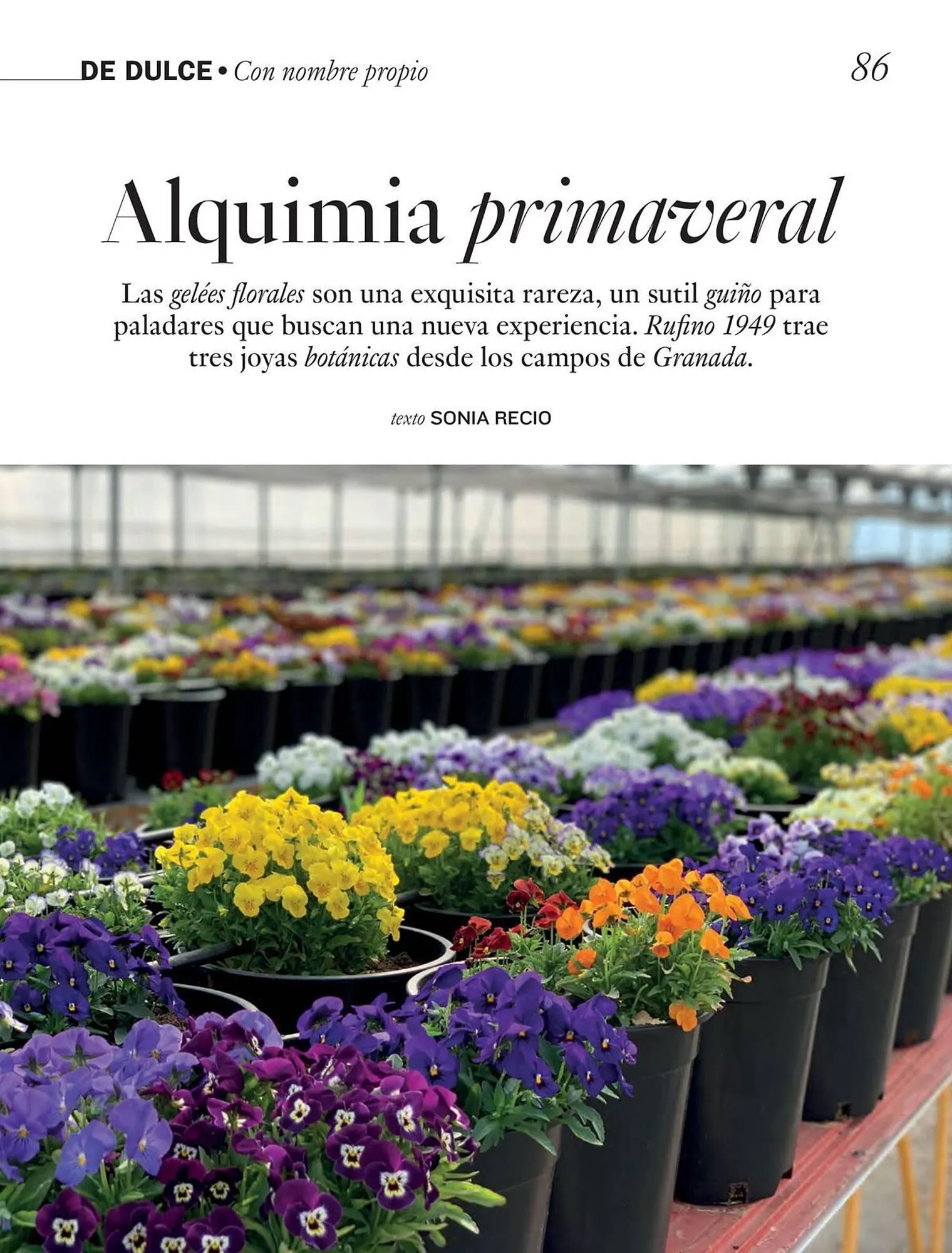 Catálogo de Catálogo El Corte Inglés 24 de marzo al 31 de mayo 2026 - Página 86