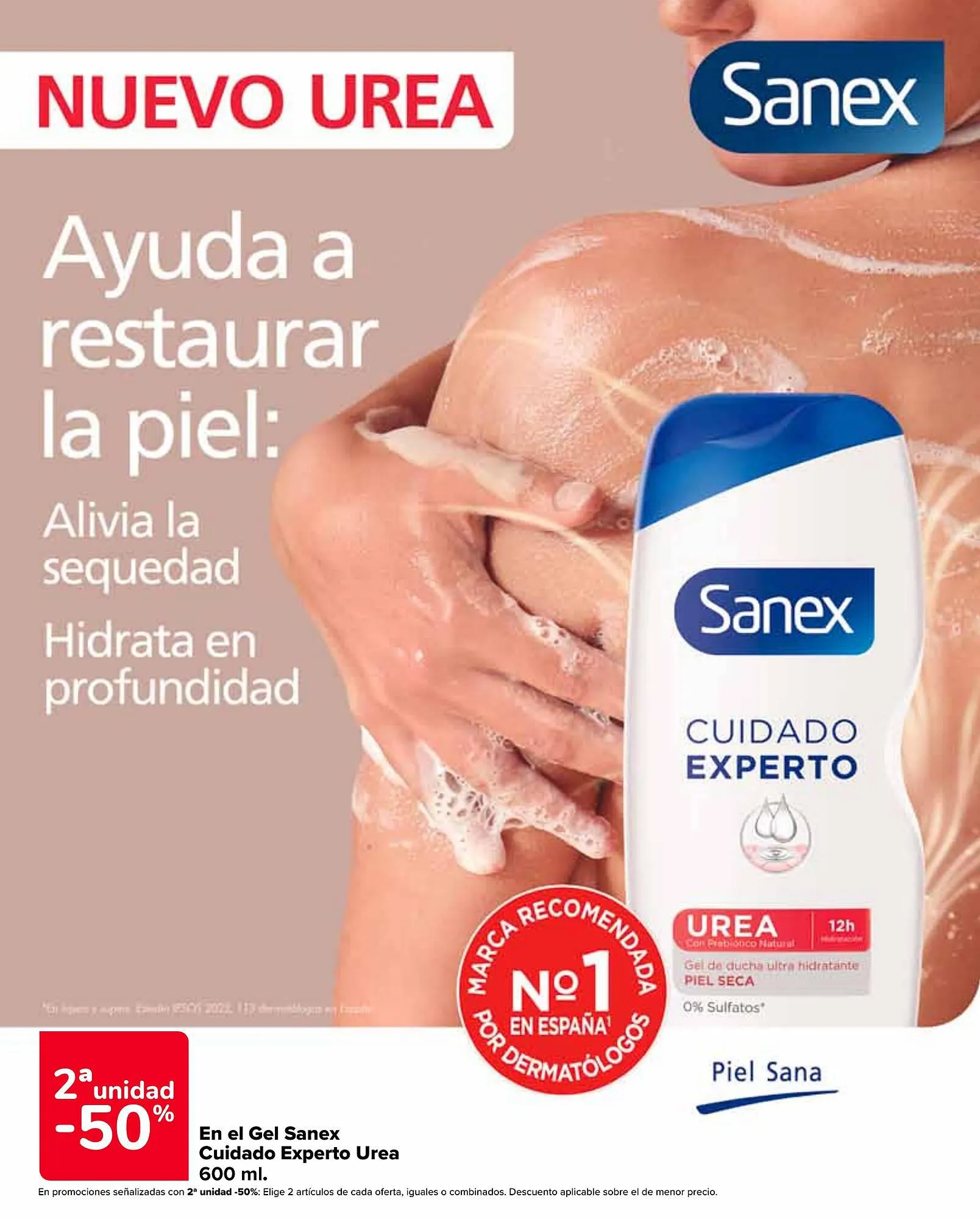 Catálogo de Folleto Carrefour 13 de febrero al 22 de febrero 2024 - Página 48