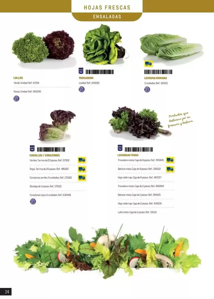 Catálogo de Frutas y verduras 8 de enero al 30 de junio 2025 - Página 24