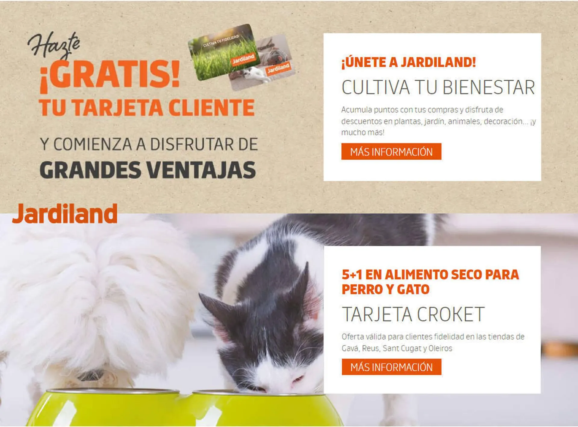 Catálogo de Folleto Jardiland 3 de noviembre al 22 de noviembre 2023 - Página 1