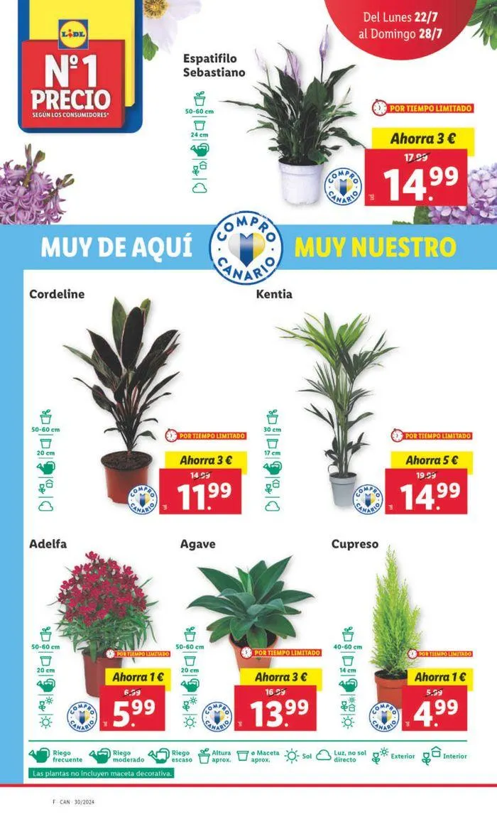 Catálogo de Precio nº1 22 de julio al 28 de julio 2024 - Página 26