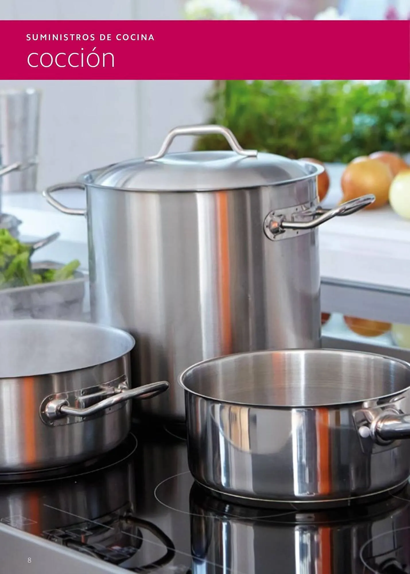 Catálogo de Folleto Makro 7 de junio al 29 de septiembre 2023 - Página 8