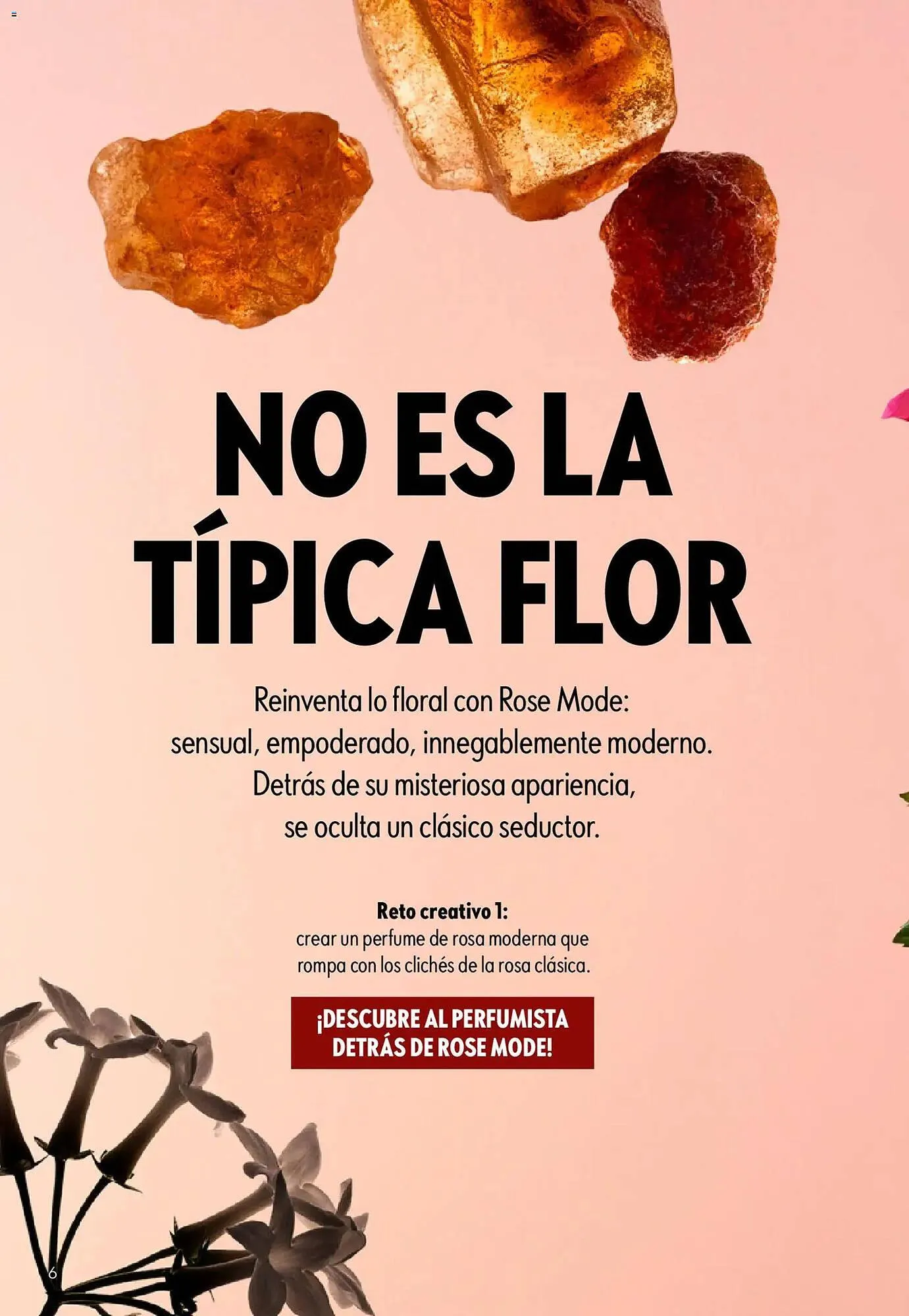 Catálogo de Catálogo Oriflame 22 de abril al 12 de mayo 2026 - Página 6