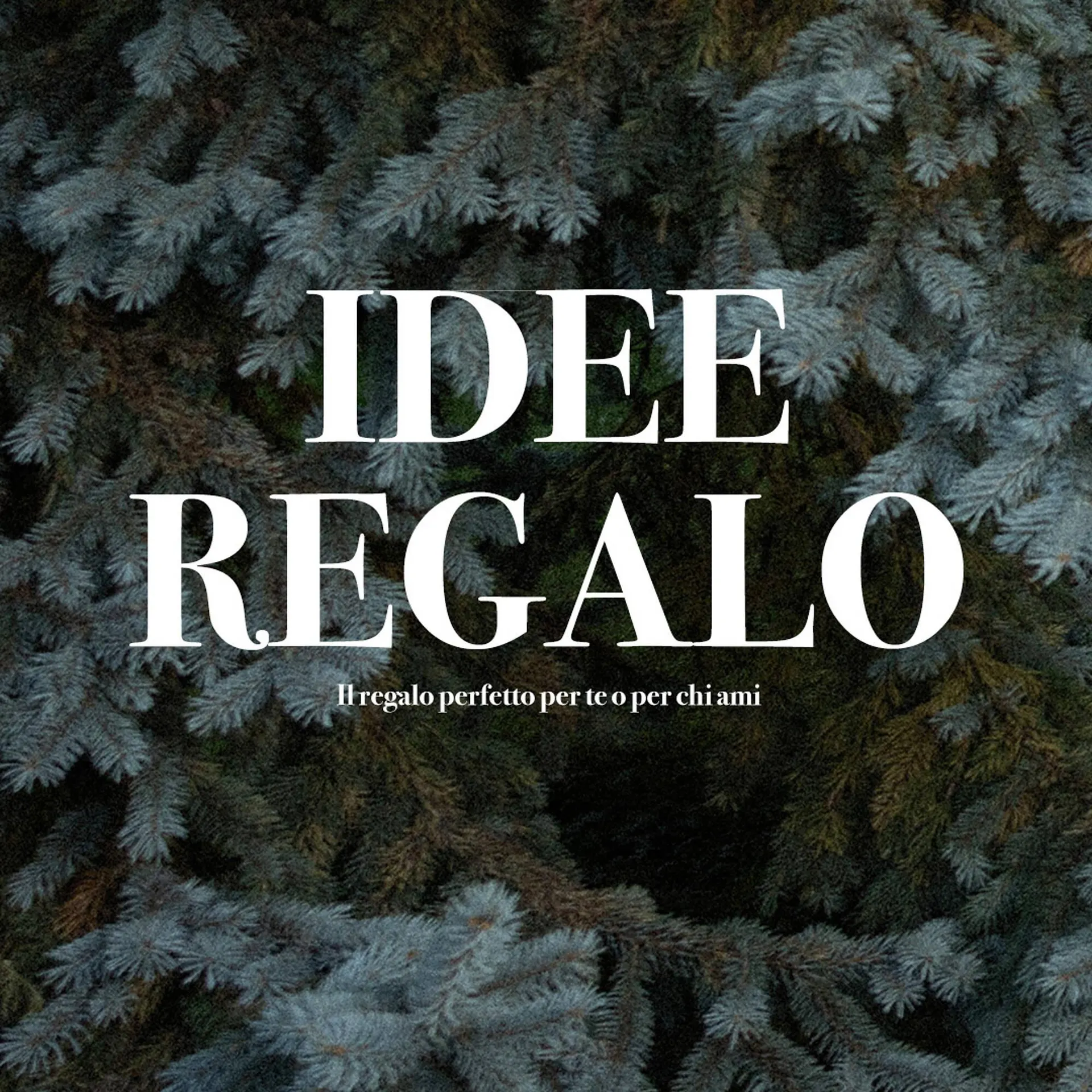 Folleto Terranova - 1