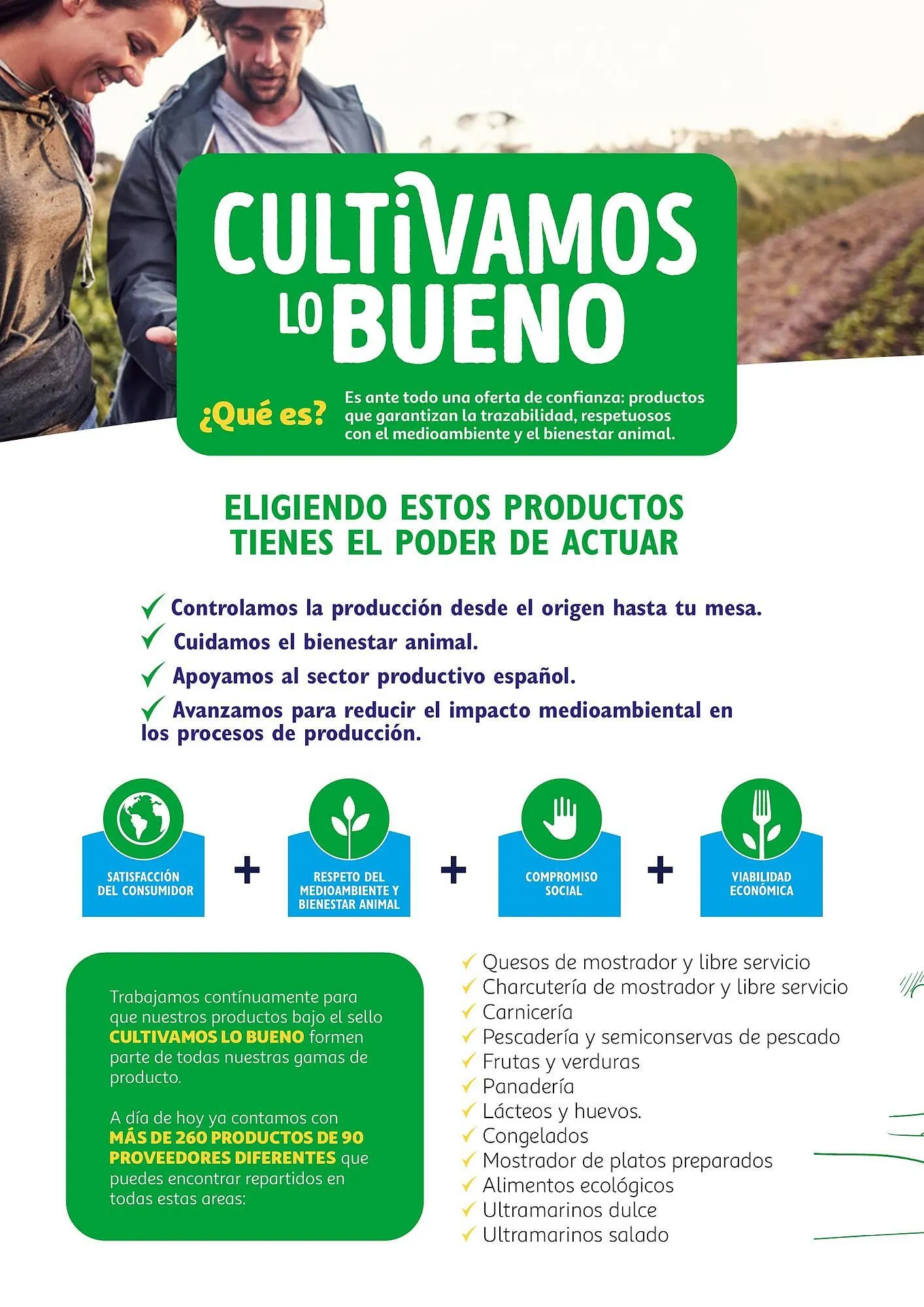 Catálogo de Folleto Alcampo 23 de abril al 31 de diciembre 2025 - Página 2