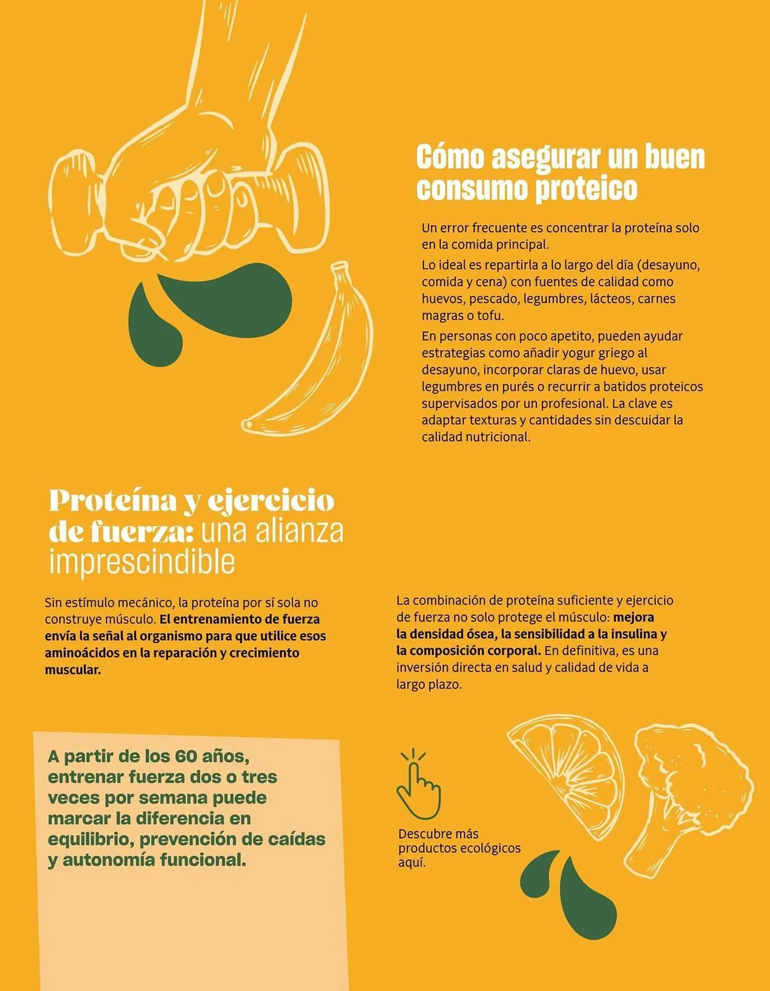 Catálogo de Catálogo Veritas 3 de abril al 30 de junio 2026 - Página 35