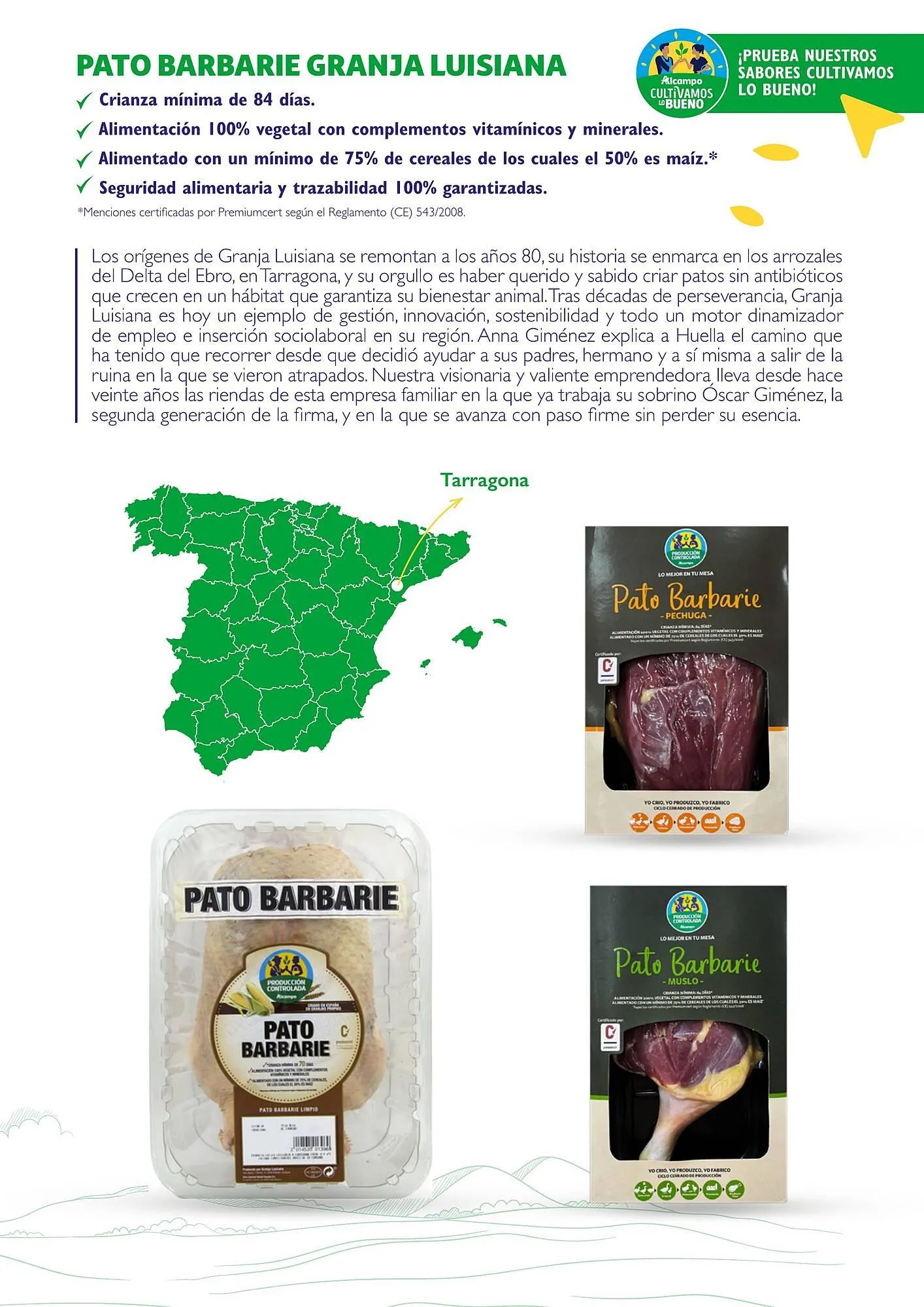 Catálogo de Folleto Alcampo 23 de abril al 31 de diciembre 2025 - Página 17