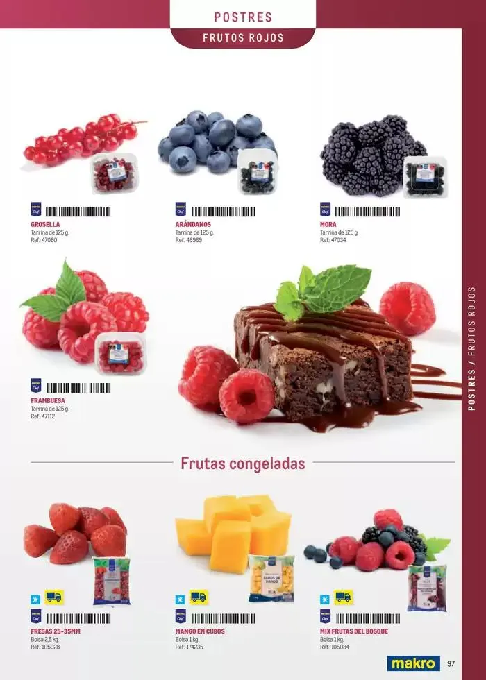 Catálogo de Especia Carta Canarias 8 de abril al 31 de diciembre 2025 - Página 97