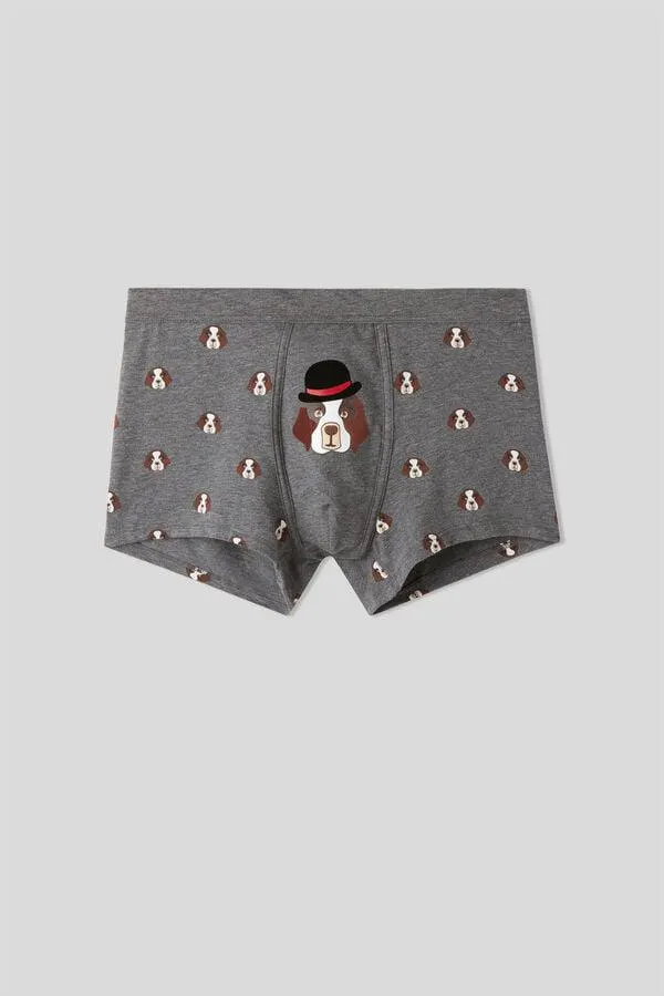 Stretch Supima® Cotton San Bernardo Boxers