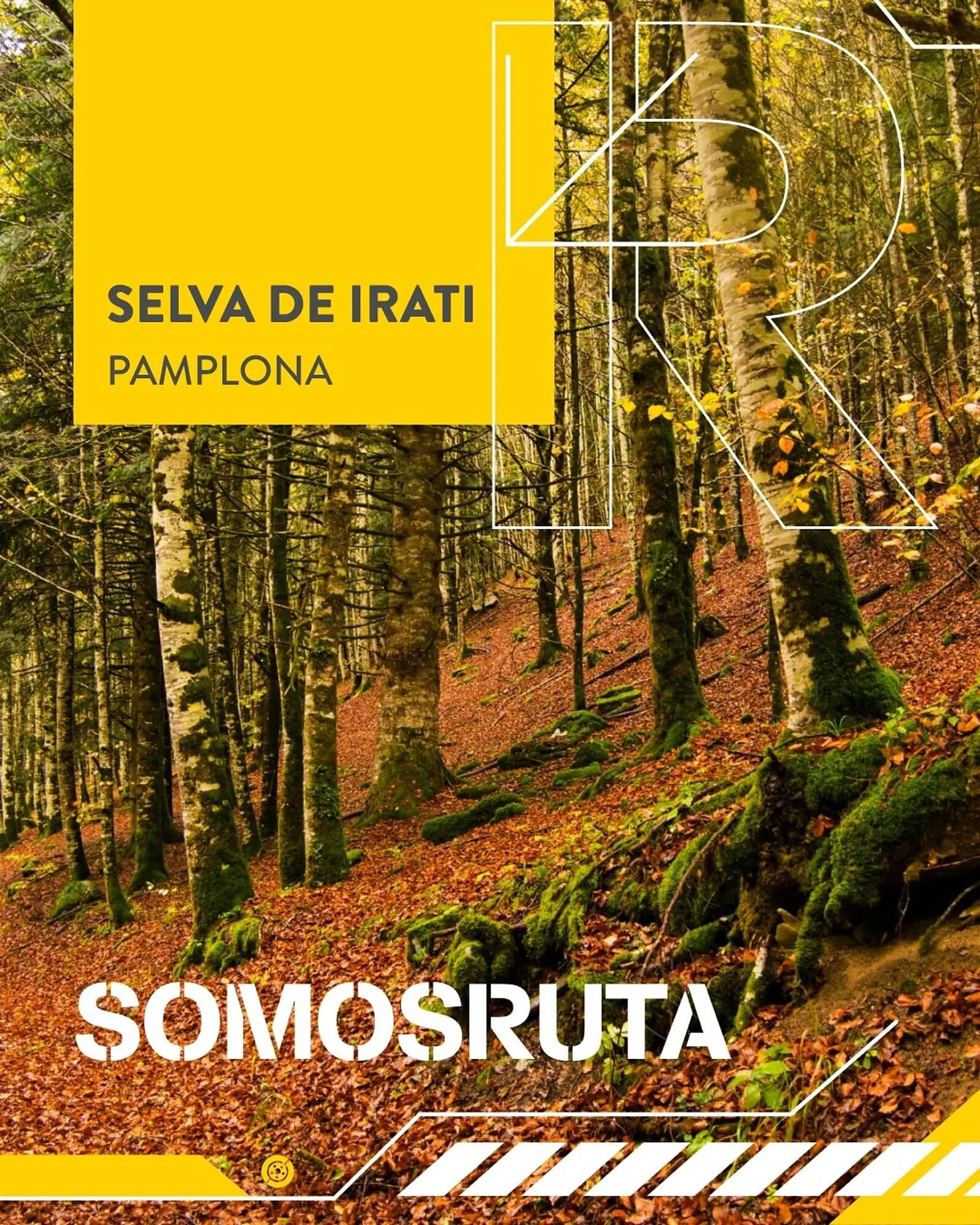 Catálogo de Folleto Rodi 6 de noviembre al 4 de enero 2026 - Página 1